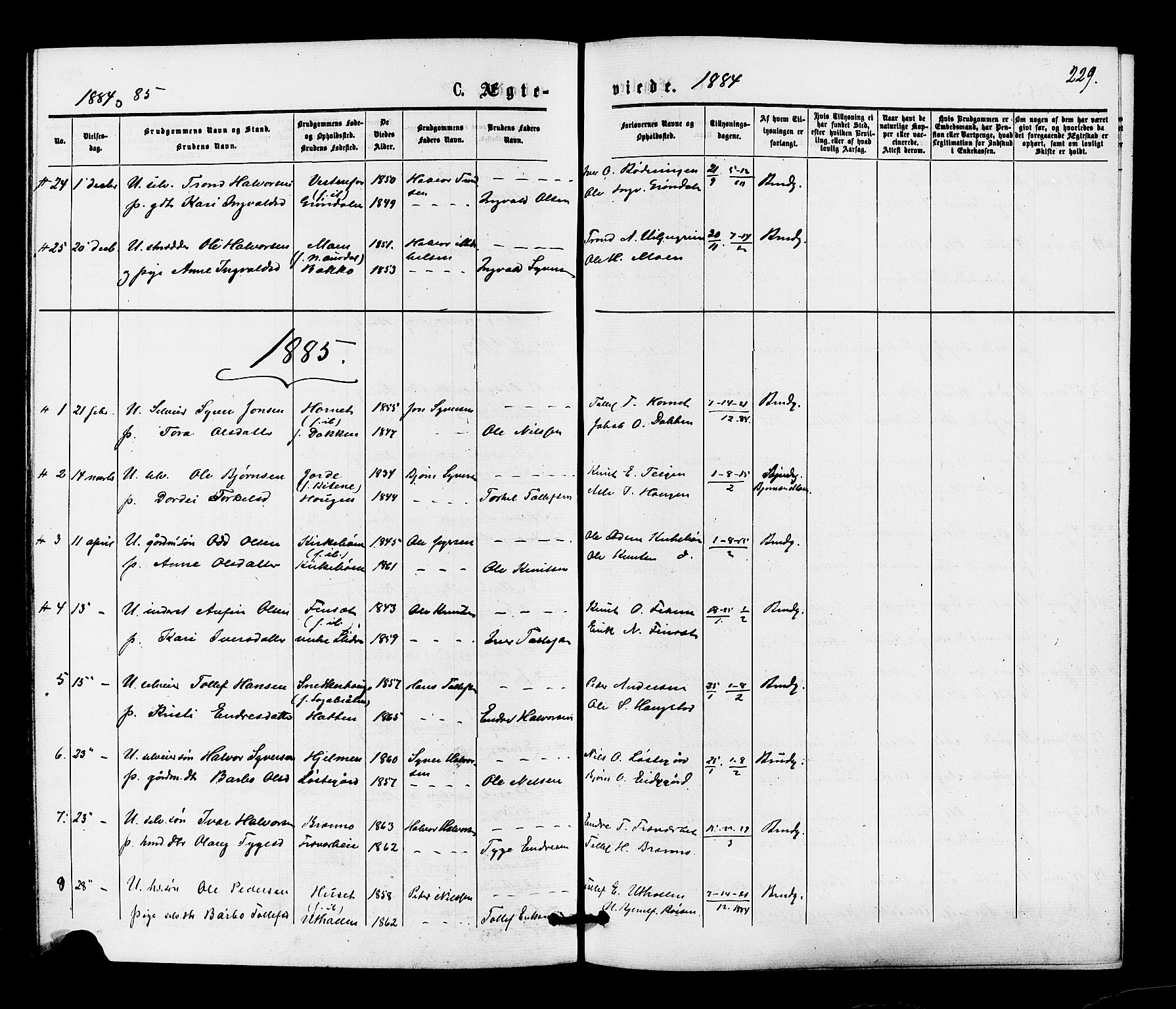 Gol kirkebøker, SAKO/A-226/F/Fa/L0004: Parish register (official) no. I 4, 1876-1886, p. 229