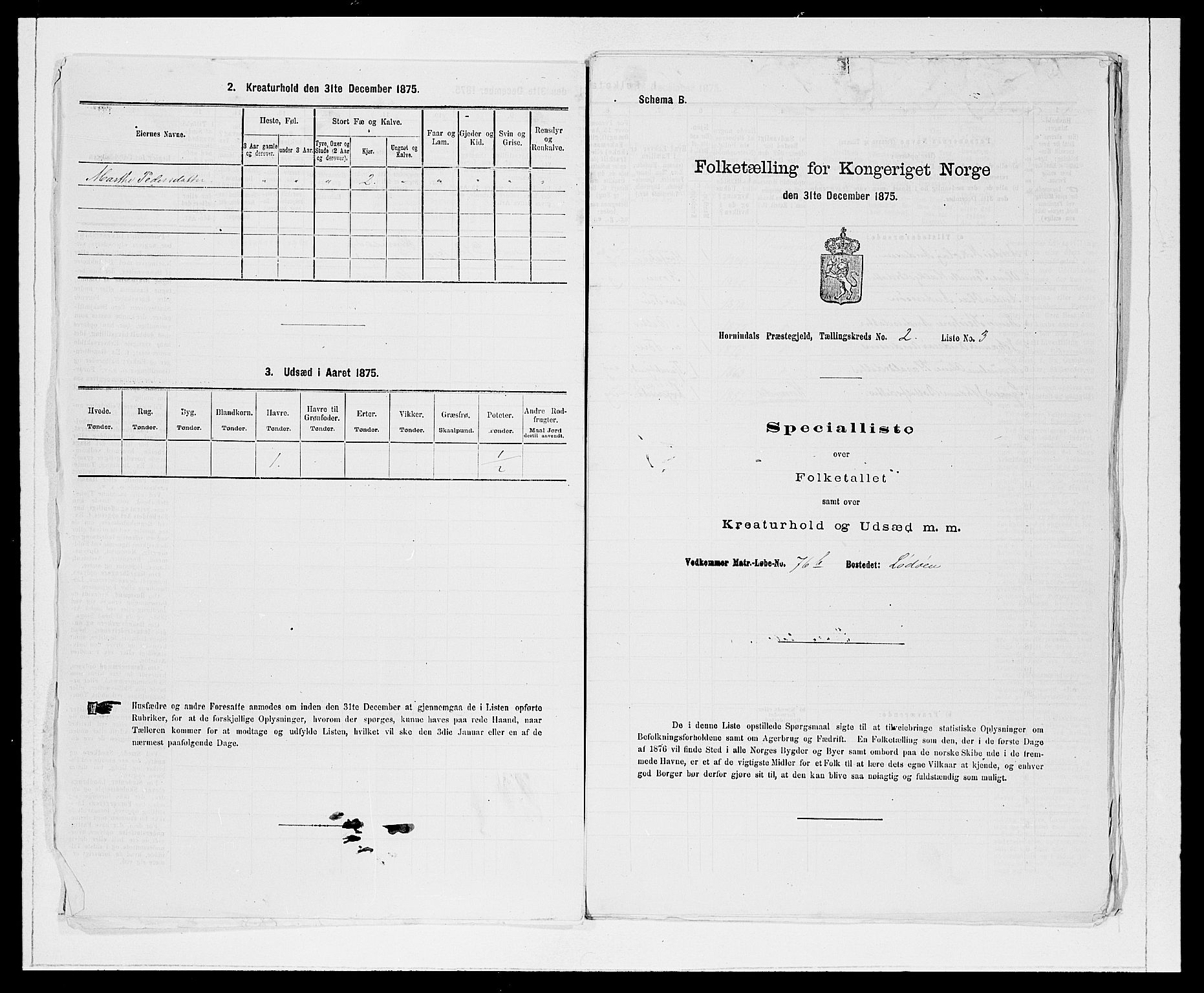 SAB, 1875 Census for 1444P Hornindal, 1875, p. 141