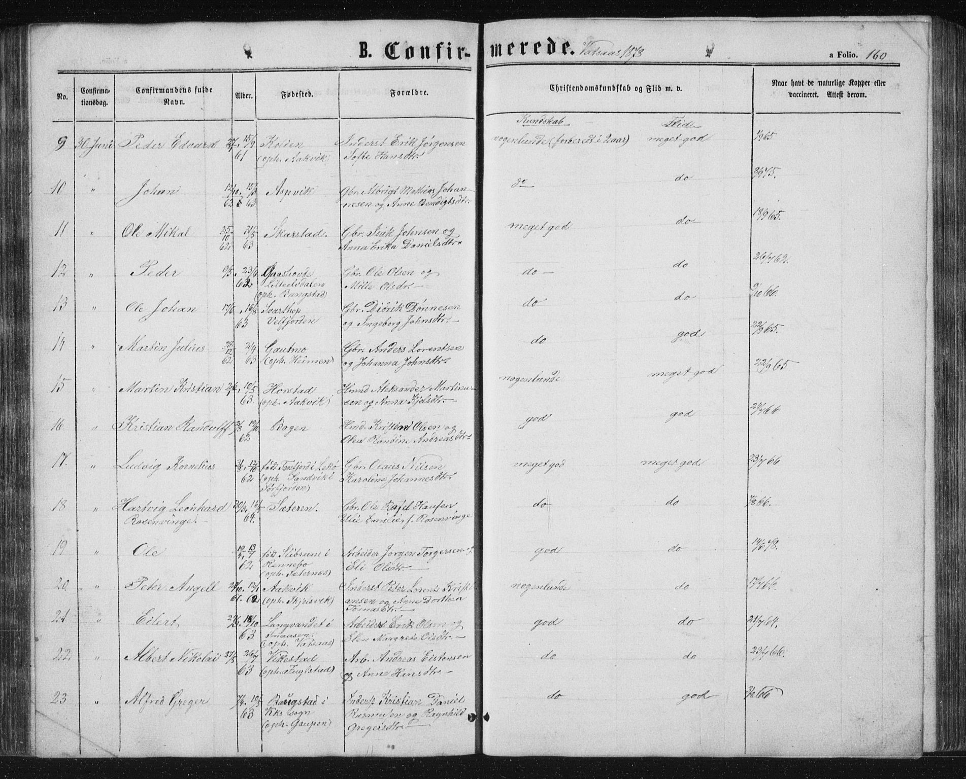 Ministerialprotokoller, klokkerbøker og fødselsregistre - Nordland, AV/SAT-A-1459/810/L0158: Parish register (copy) no. 810C02 /1, 1863-1883, p. 160