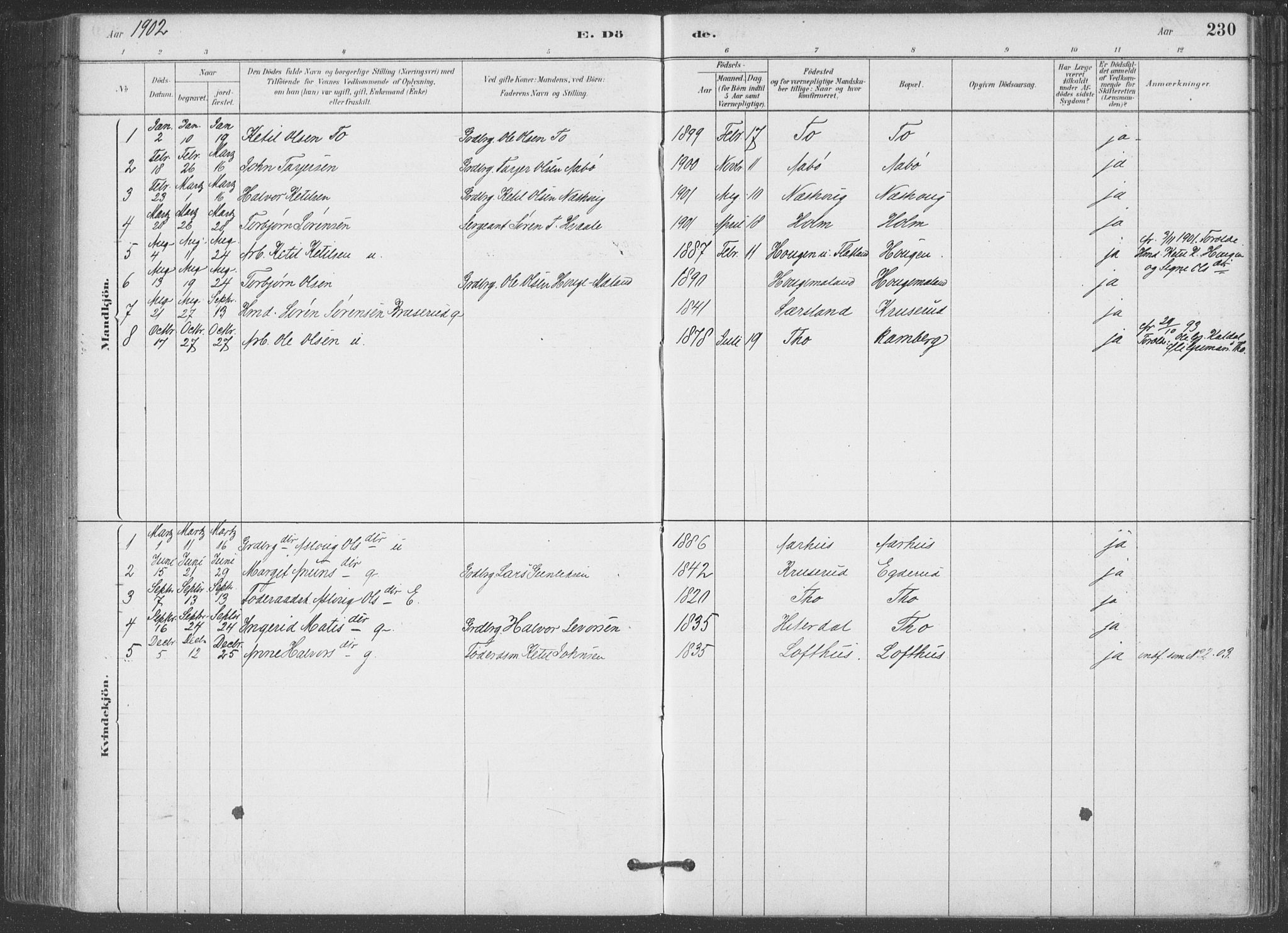 Hjartdal kirkebøker, SAKO/A-270/F/Fa/L0010: Parish register (official) no. I 10, 1880-1929, p. 230