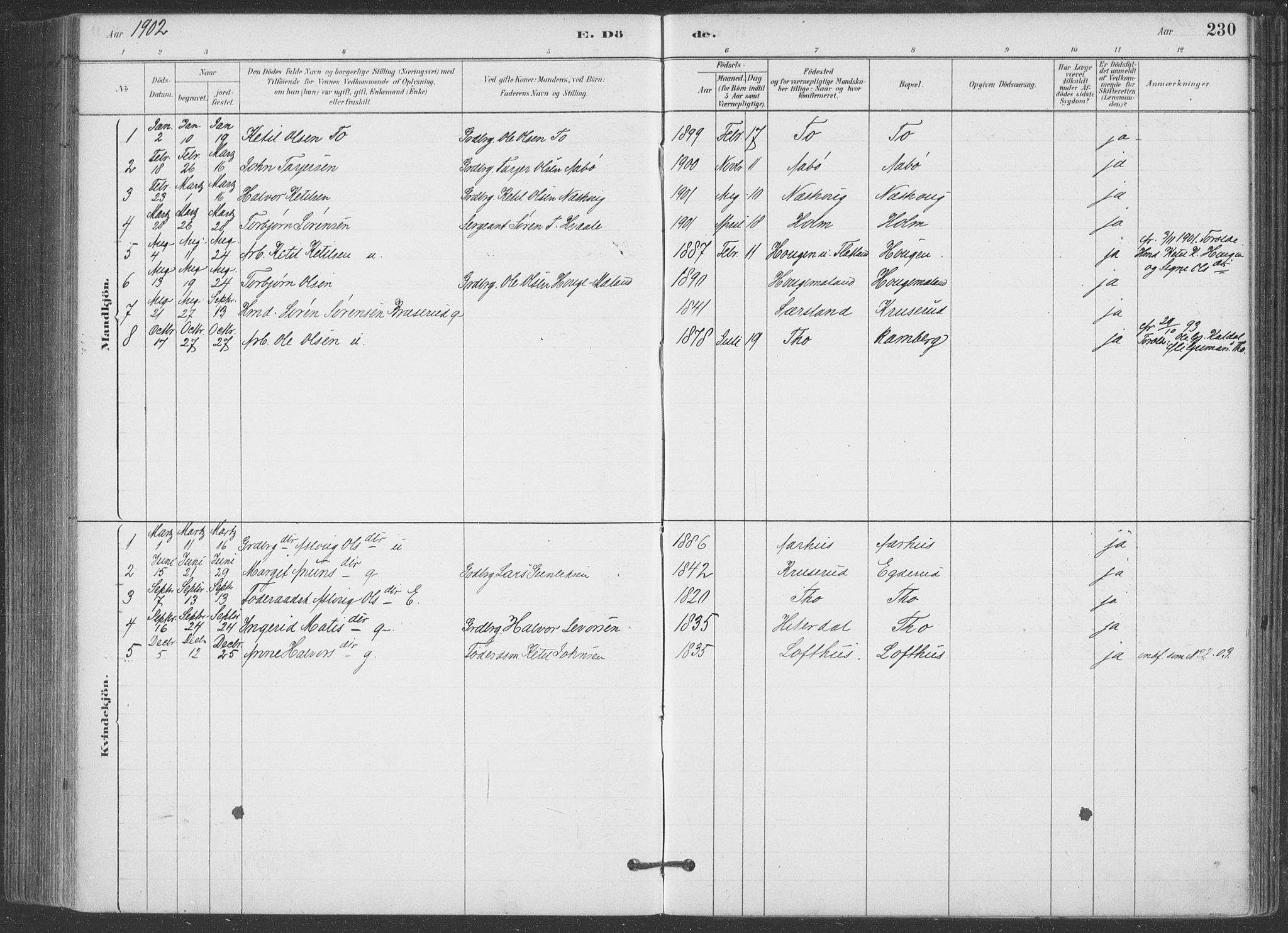 Hjartdal kirkebøker, AV/SAKO-A-270/F/Fa/L0010: Parish register (official) no. I 10, 1880-1929, p. 230