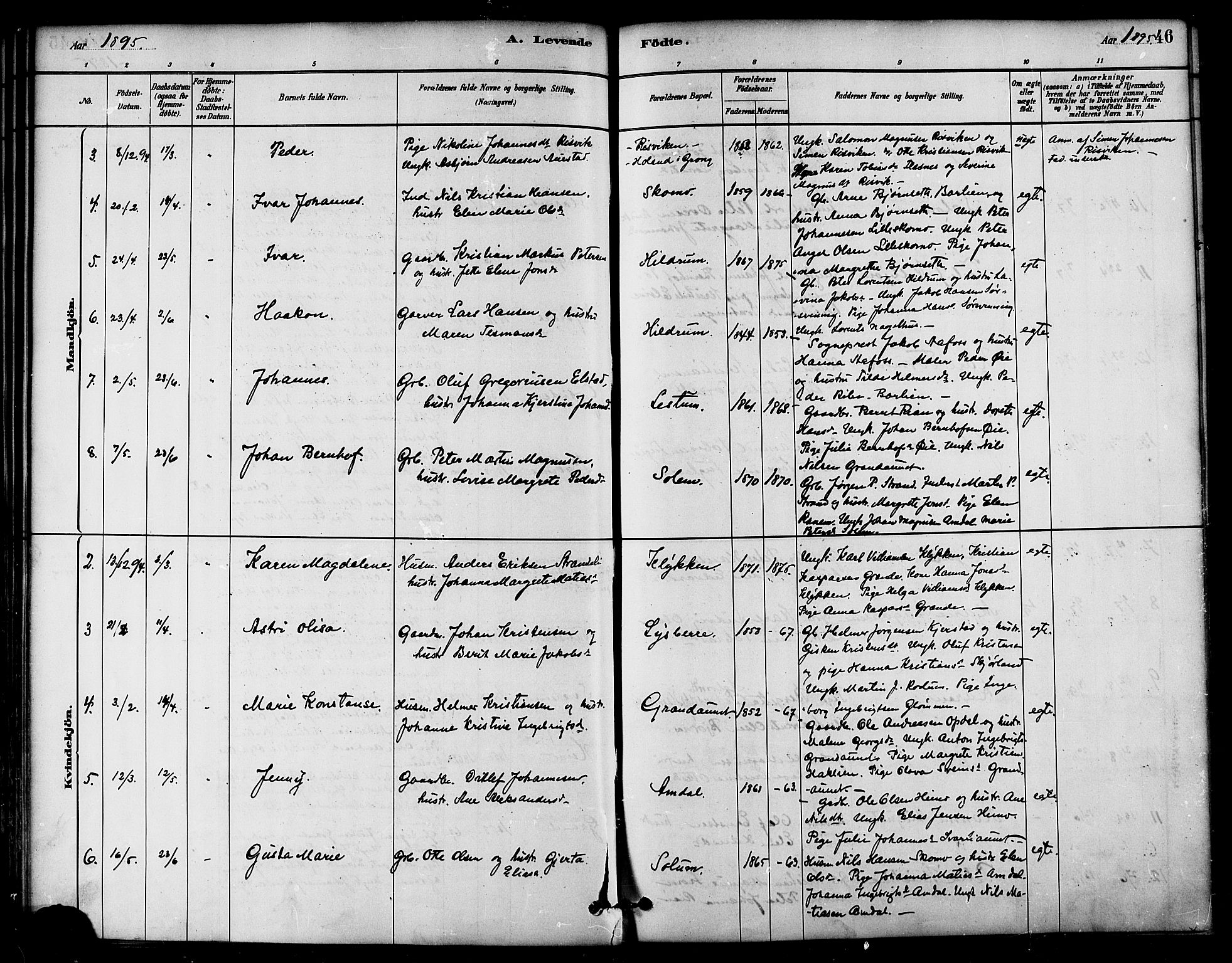 Ministerialprotokoller, klokkerbøker og fødselsregistre - Nord-Trøndelag, SAT/A-1458/764/L0555: Parish register (official) no. 764A10, 1881-1896, p. 46