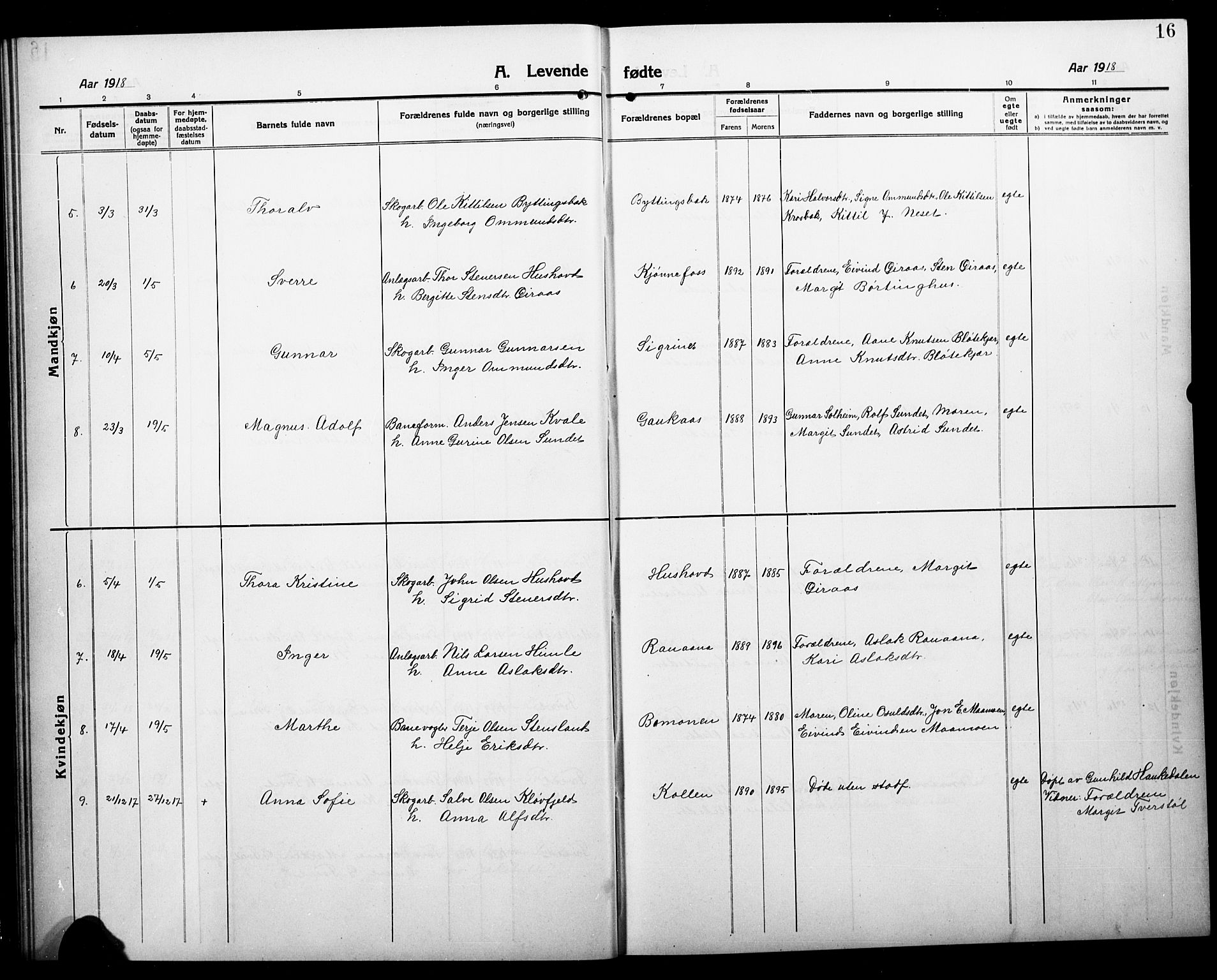 Åmli sokneprestkontor, AV/SAK-1111-0050/F/Fb/Fbc/L0006: Parish register (copy) no. B 6, 1915-1929, p. 16
