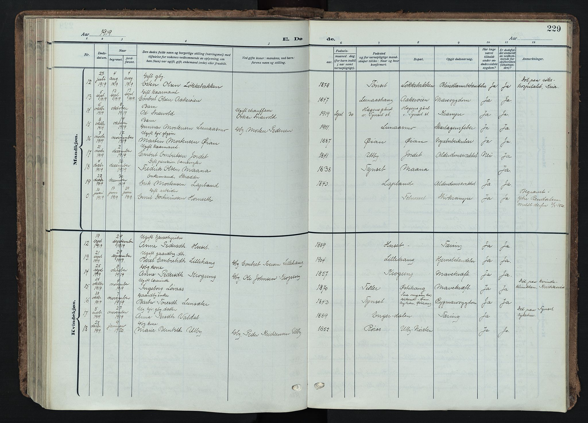 Tynset prestekontor, AV/SAH-PREST-058/H/Ha/Haa/L0026: Parish register (official) no. 26, 1915-1929, p. 229