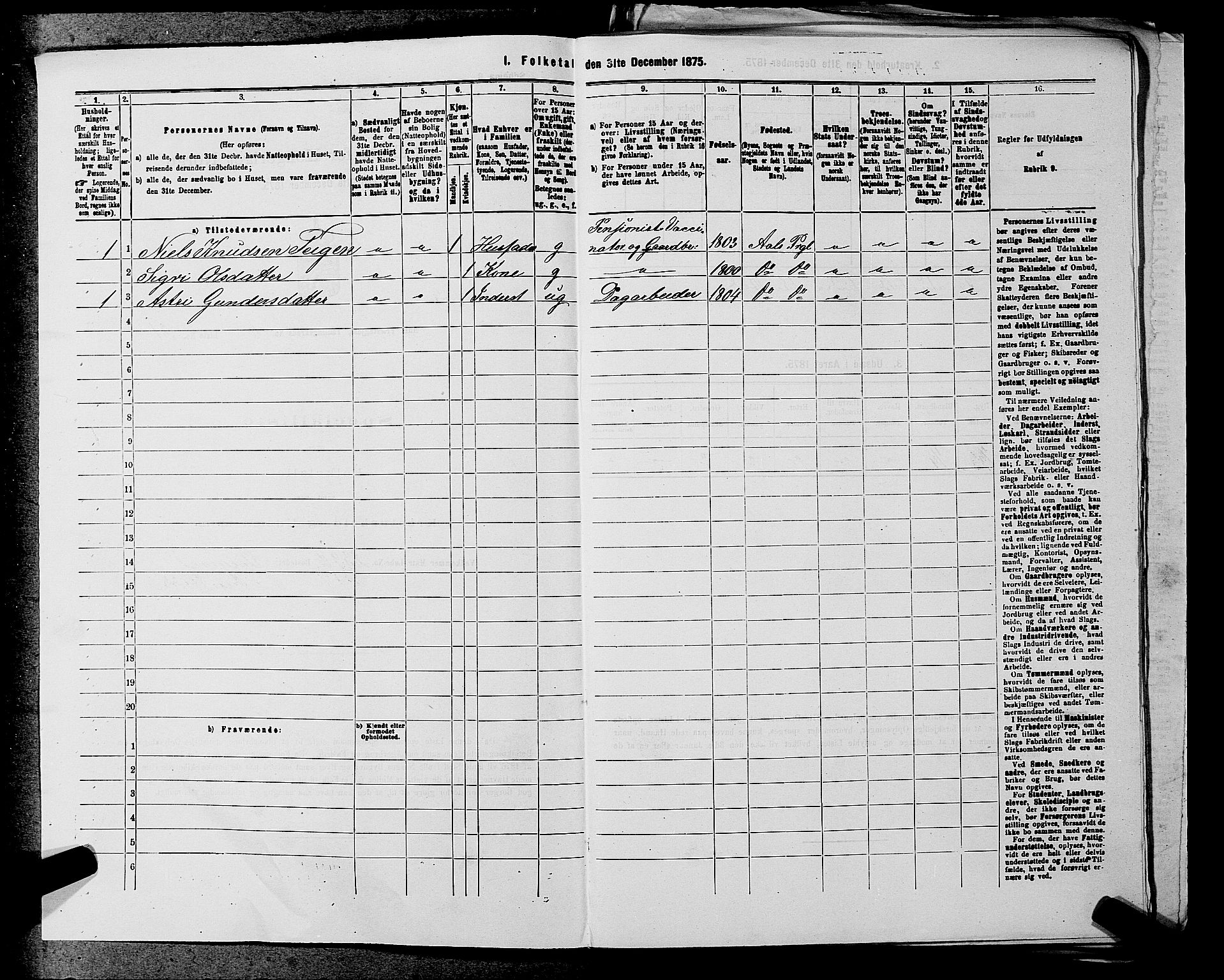 SAKO, 1875 census for 0619P Ål, 1875, p. 803