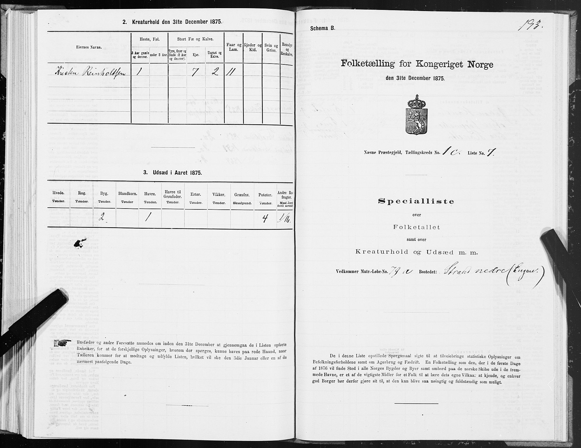 SAT, 1875 census for 1828P Nesna, 1875, p. 1193