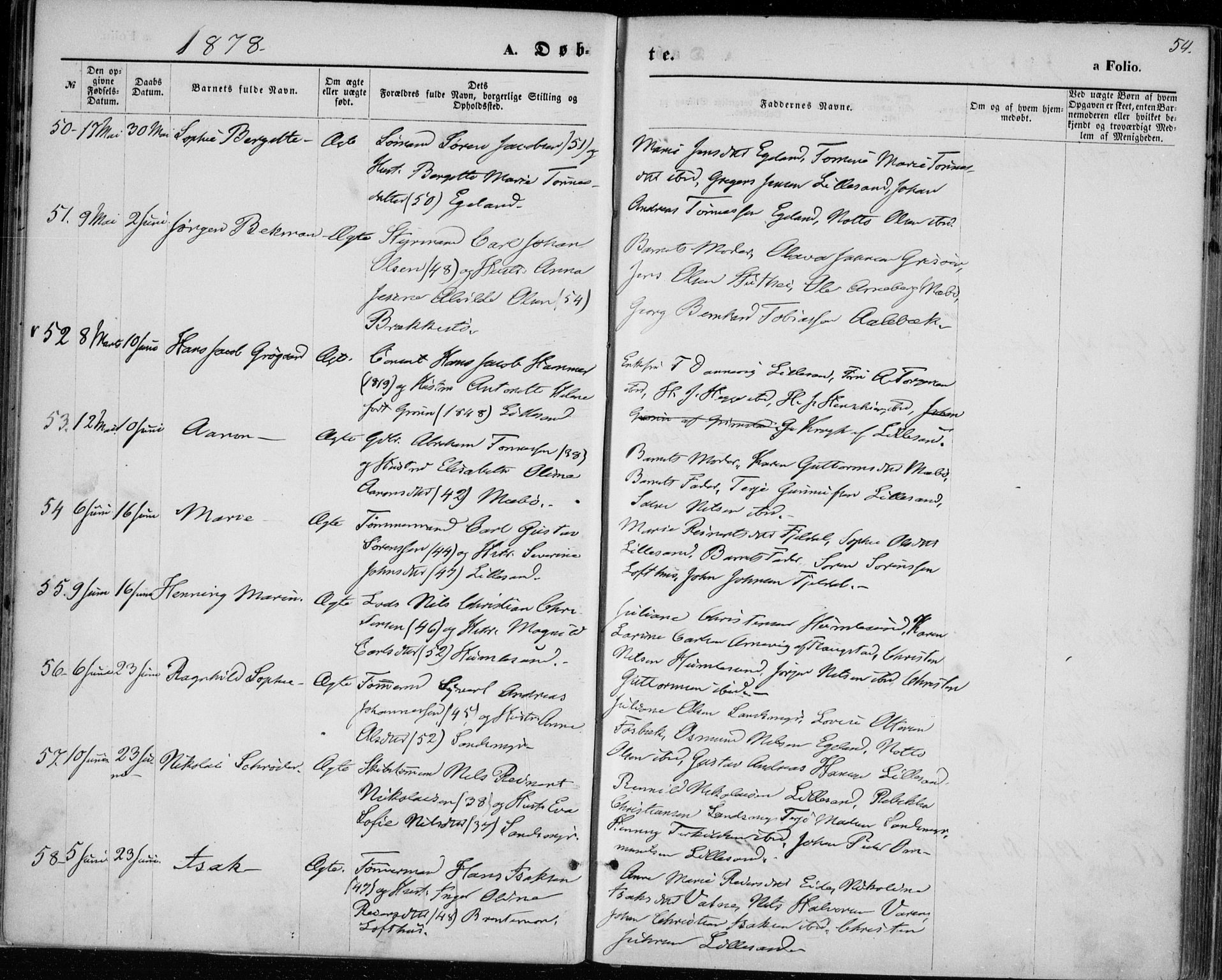 Vestre Moland sokneprestkontor, SAK/1111-0046/F/Fa/Fab/L0008: Parish register (official) no. A 8, 1873-1883, p. 54