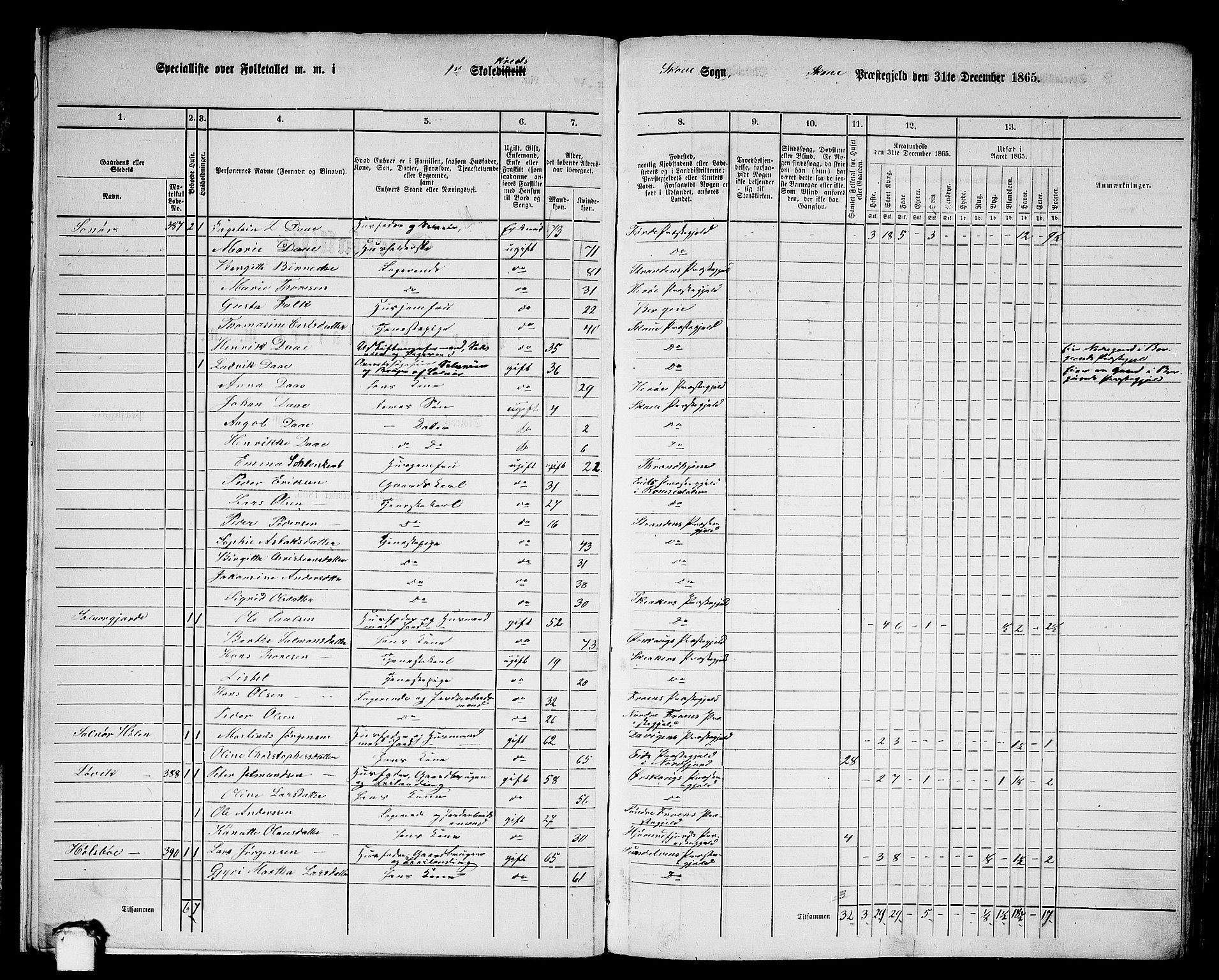 RA, 1865 census for Skodje, 1865, p. 14