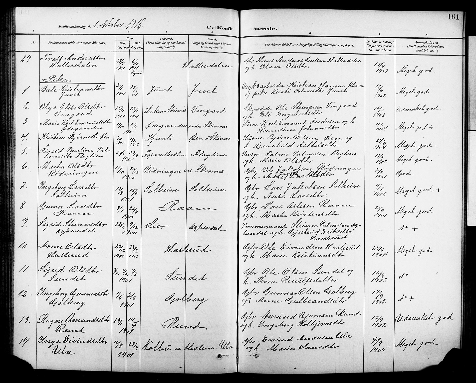 Krødsherad kirkebøker, SAKO/A-19/G/Ga/L0002: Parish register (copy) no. 2, 1894-1918, p. 161