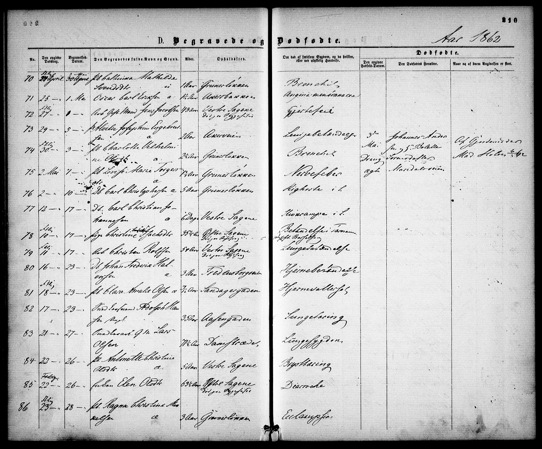 Gamle Aker prestekontor Kirkebøker, AV/SAO-A-10617a/F/L0001: Parish register (official) no. 1, 1861-1865, p. 210