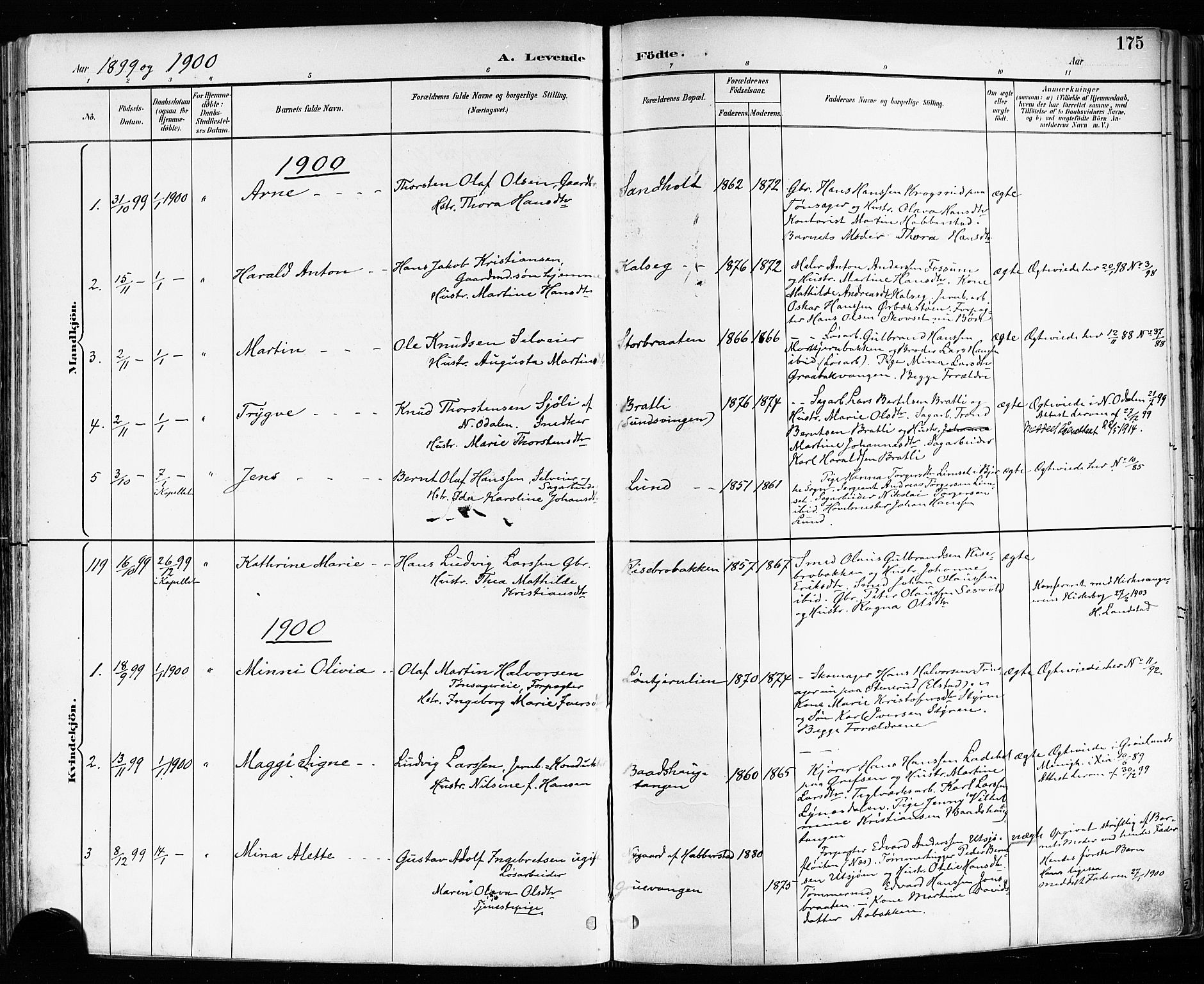 Eidsvoll prestekontor Kirkebøker, SAO/A-10888/F/Fa/L0004: Parish register (official) no. I 4, 1891-1900, p. 175
