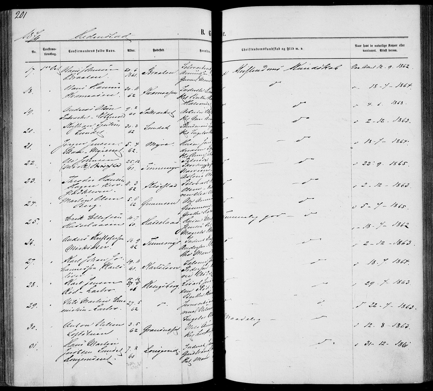 Sandsvær kirkebøker, AV/SAKO-A-244/F/Fa/L0007: Parish register (official) no. I 7, 1869-1877, p. 201