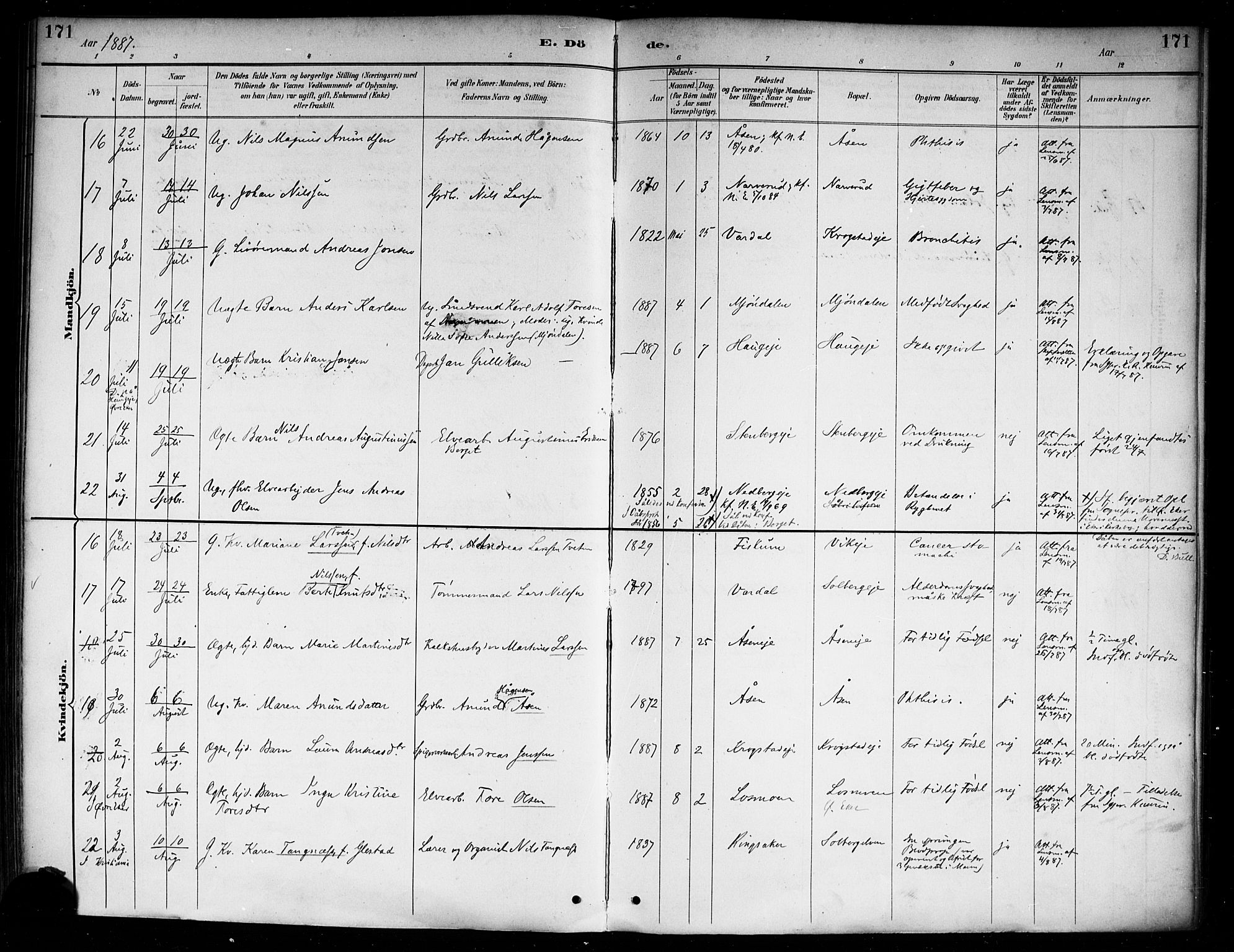 Nedre Eiker kirkebøker, AV/SAKO-A-612/F/Fa/L0003: Parish register (official) no. 3, 1885-1892, p. 171