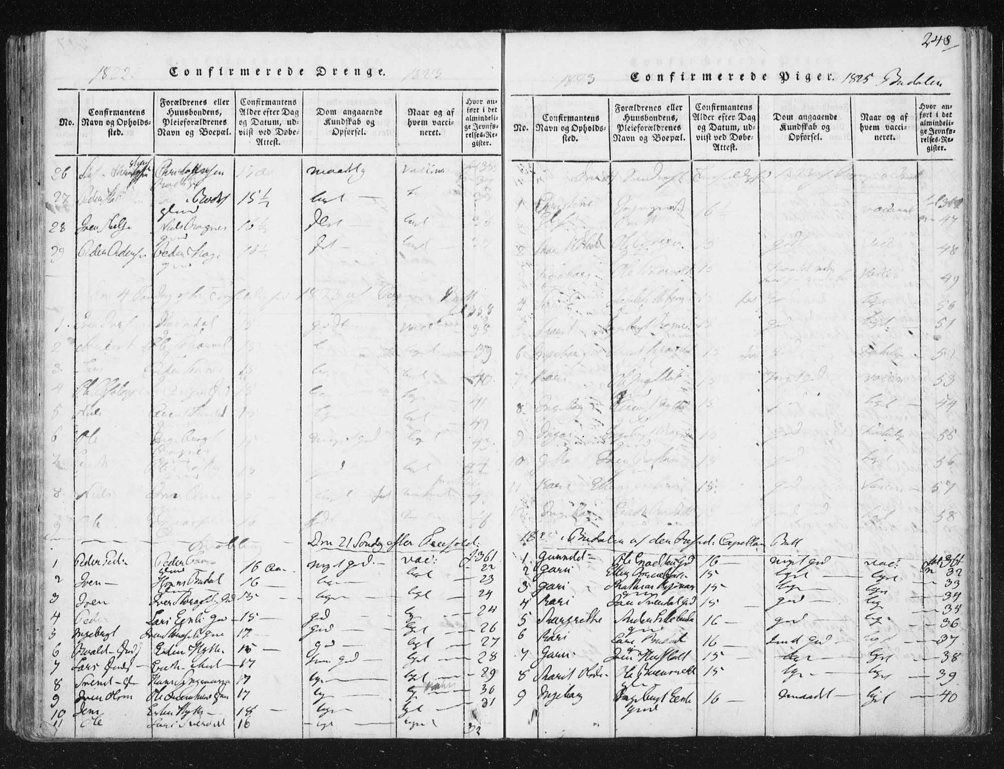 Ministerialprotokoller, klokkerbøker og fødselsregistre - Sør-Trøndelag, SAT/A-1456/687/L0996: Parish register (official) no. 687A04, 1816-1842, p. 248