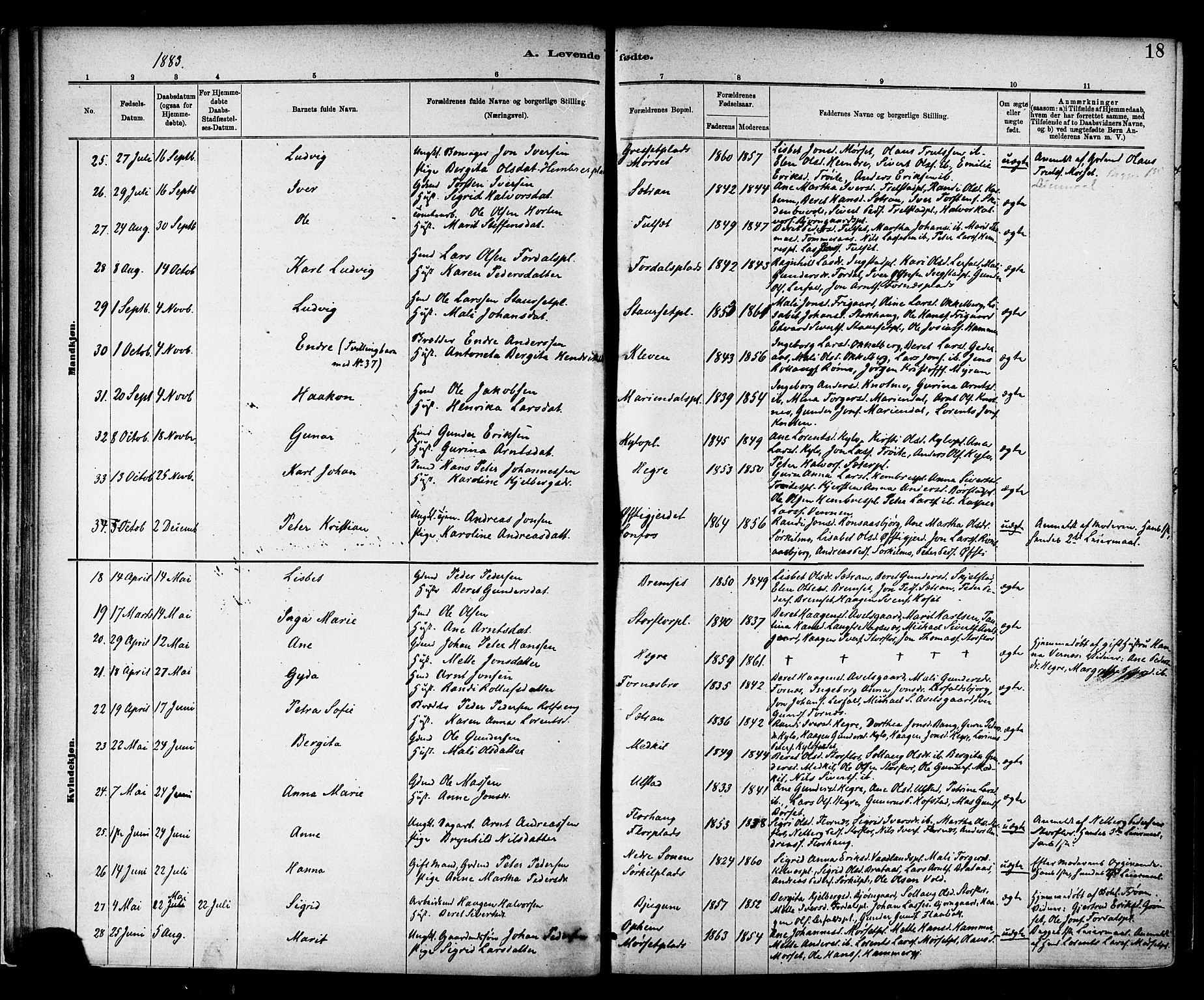 Ministerialprotokoller, klokkerbøker og fødselsregistre - Nord-Trøndelag, SAT/A-1458/703/L0030: Parish register (official) no. 703A03, 1880-1892, p. 18