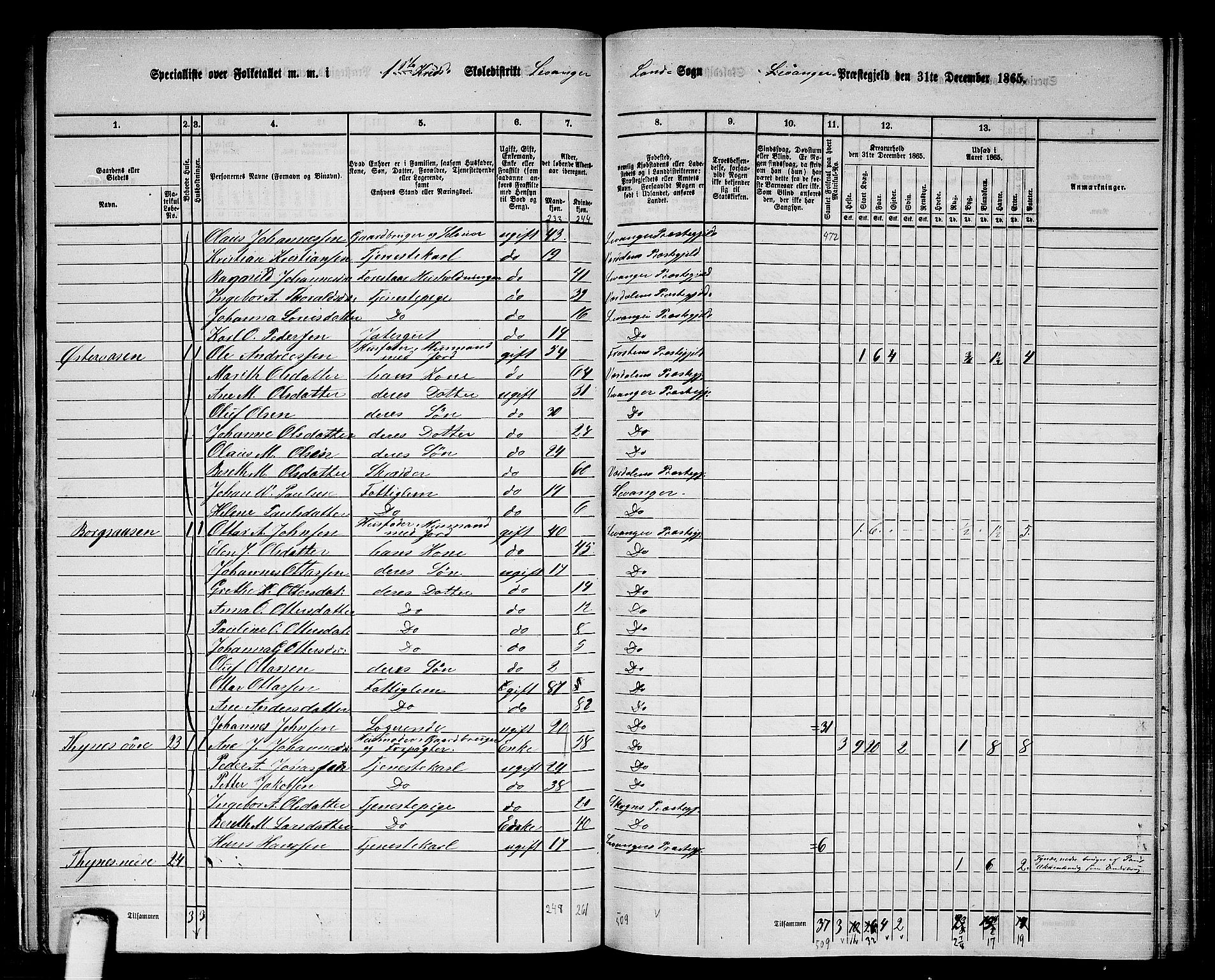 RA, 1865 census for Levanger/Levanger, 1865, p. 22