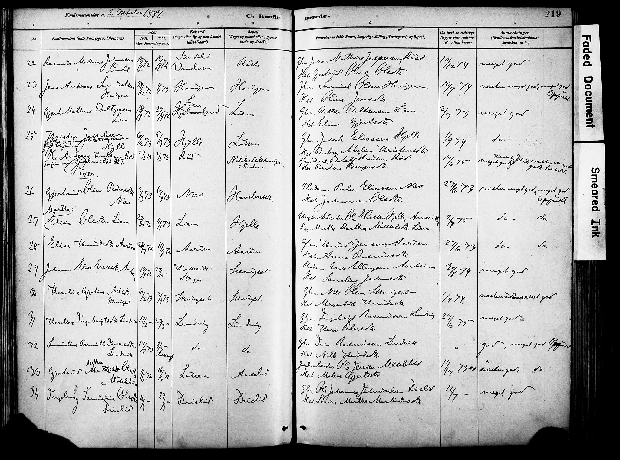 Eid sokneprestembete, AV/SAB-A-82301/H/Haa/Haab/L0001: Parish register (official) no. B 1, 1879-1906, p. 219