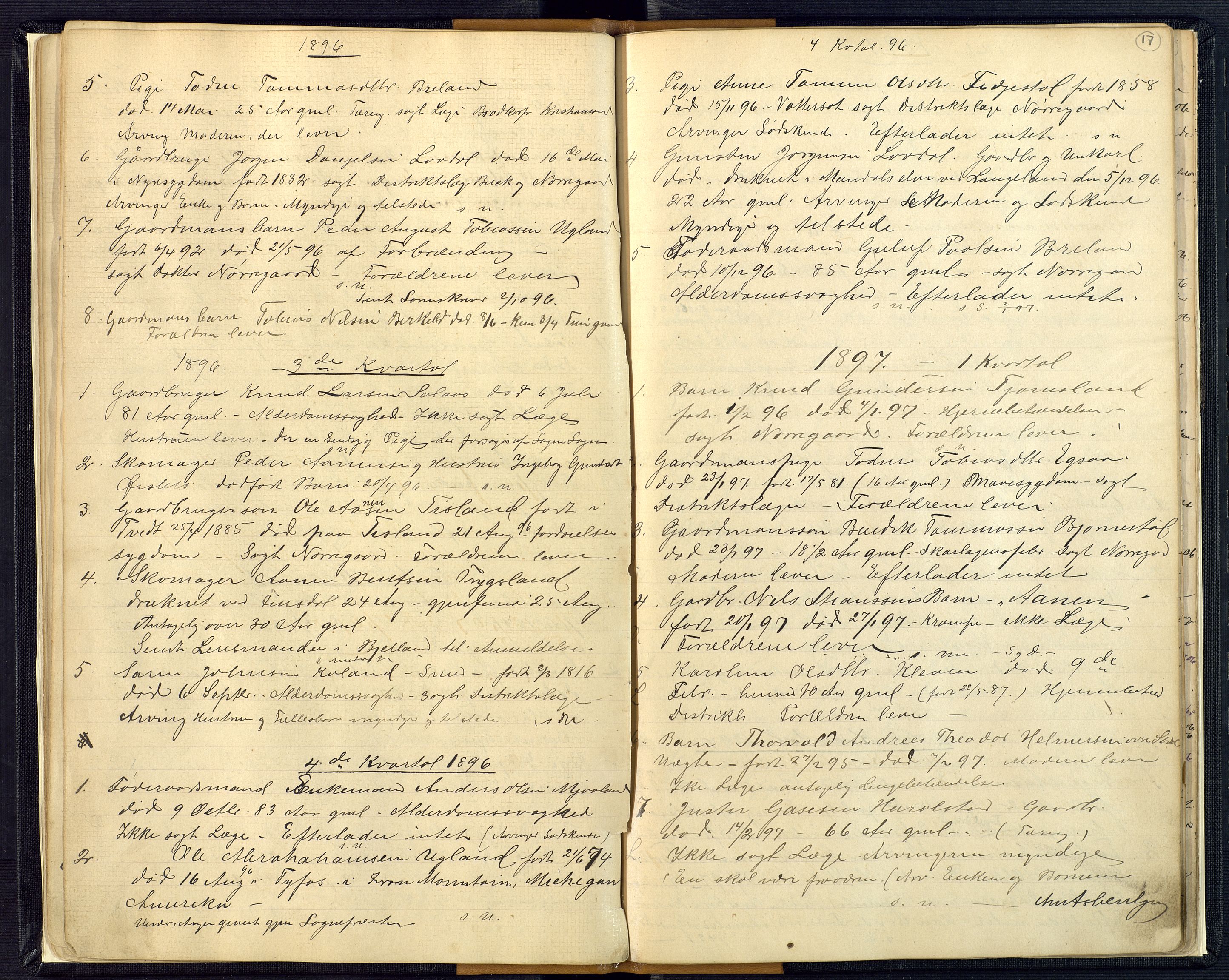 Mandal sorenskriveri, AV/SAK-1221-0005/001/H/Ha/L0016: Dødsfall Øyslebø og Laudal nr 15, 1882-1913, p. 17