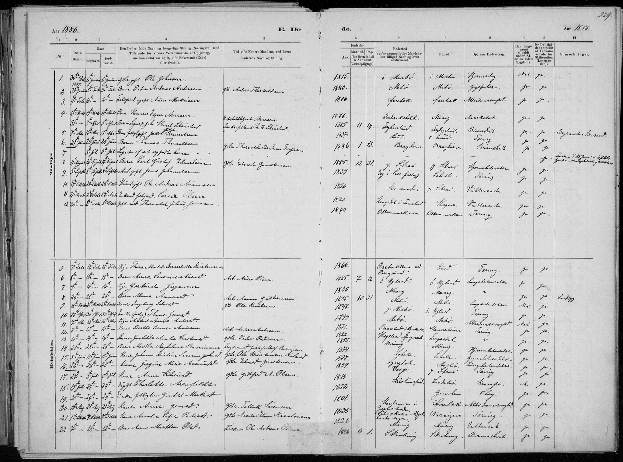 Oddernes sokneprestkontor, SAK/1111-0033/F/Fa/Faa/L0009: Parish register (official) no. A 9, 1884-1896, p. 229