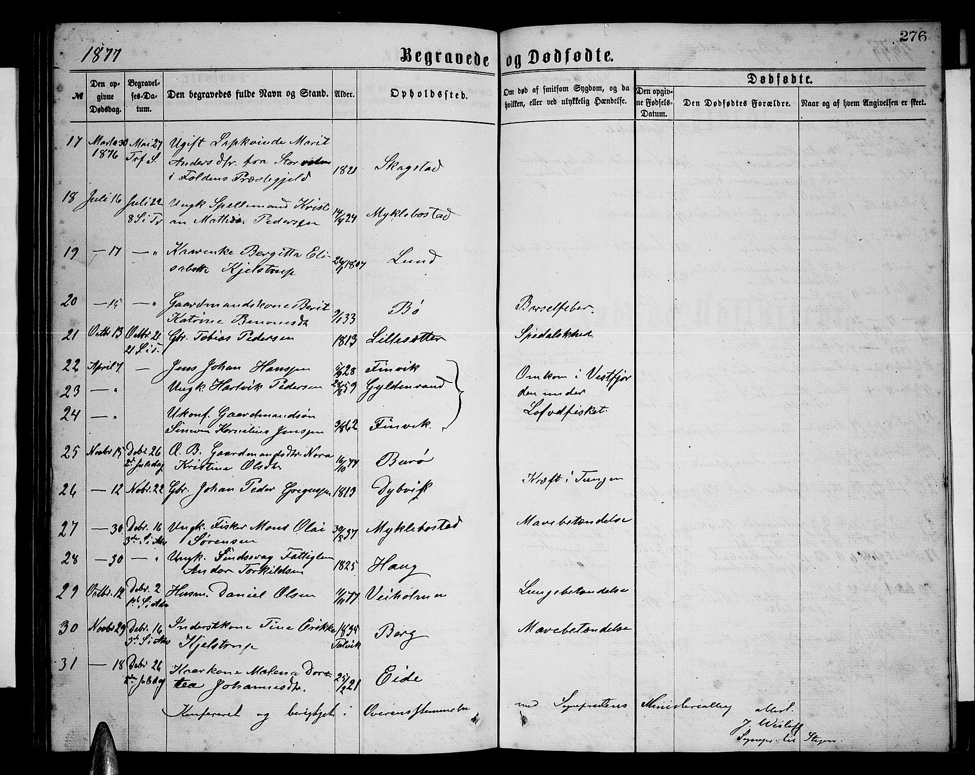 Ministerialprotokoller, klokkerbøker og fødselsregistre - Nordland, AV/SAT-A-1459/855/L0815: Parish register (copy) no. 855C04, 1865-1878, p. 276