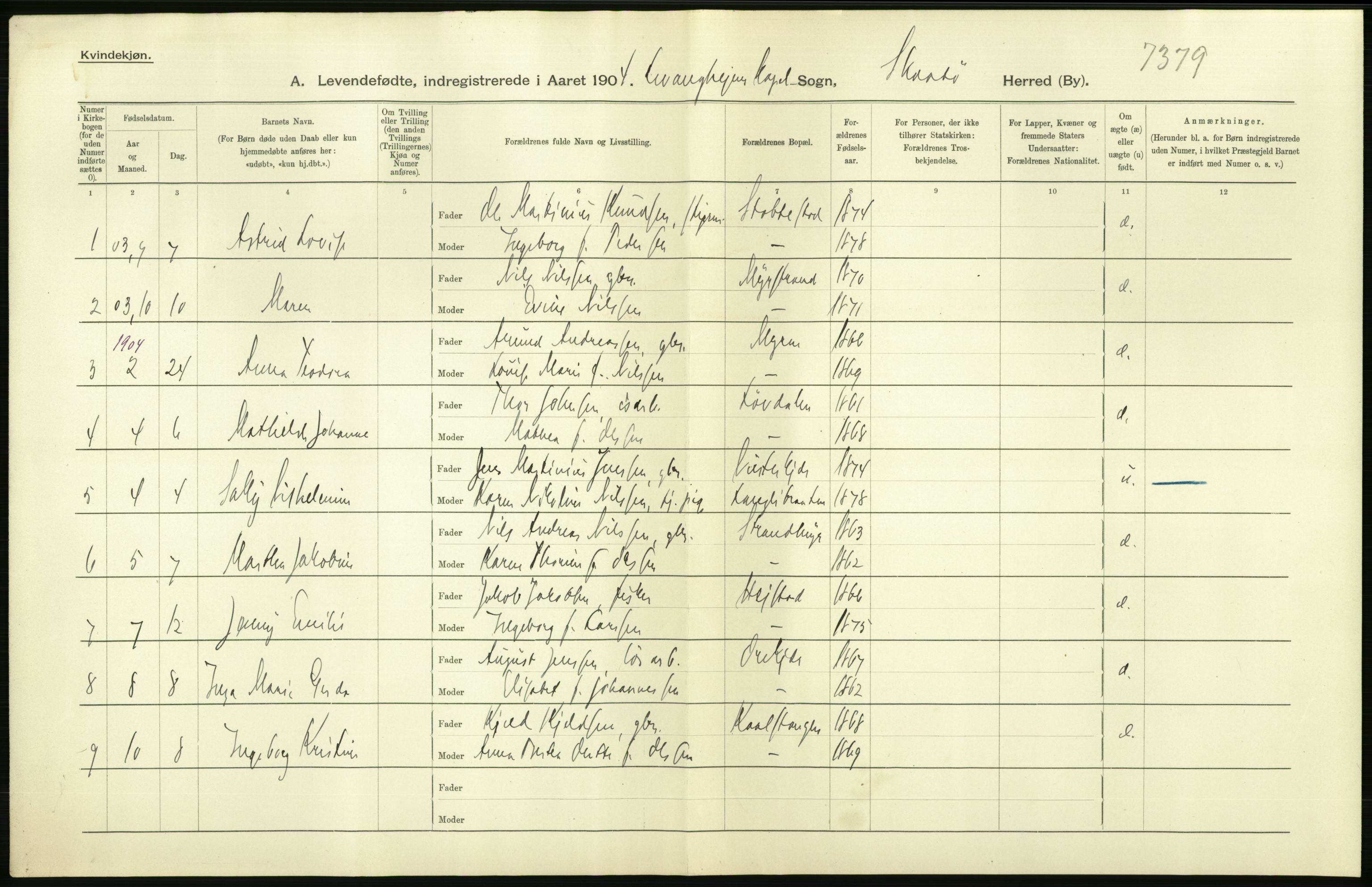 Statistisk sentralbyrå, Sosiodemografiske emner, Befolkning, AV/RA-S-2228/D/Df/Dfa/Dfab/L0009: Bratsberg amt: Fødte, gifte, døde, 1904, p. 32