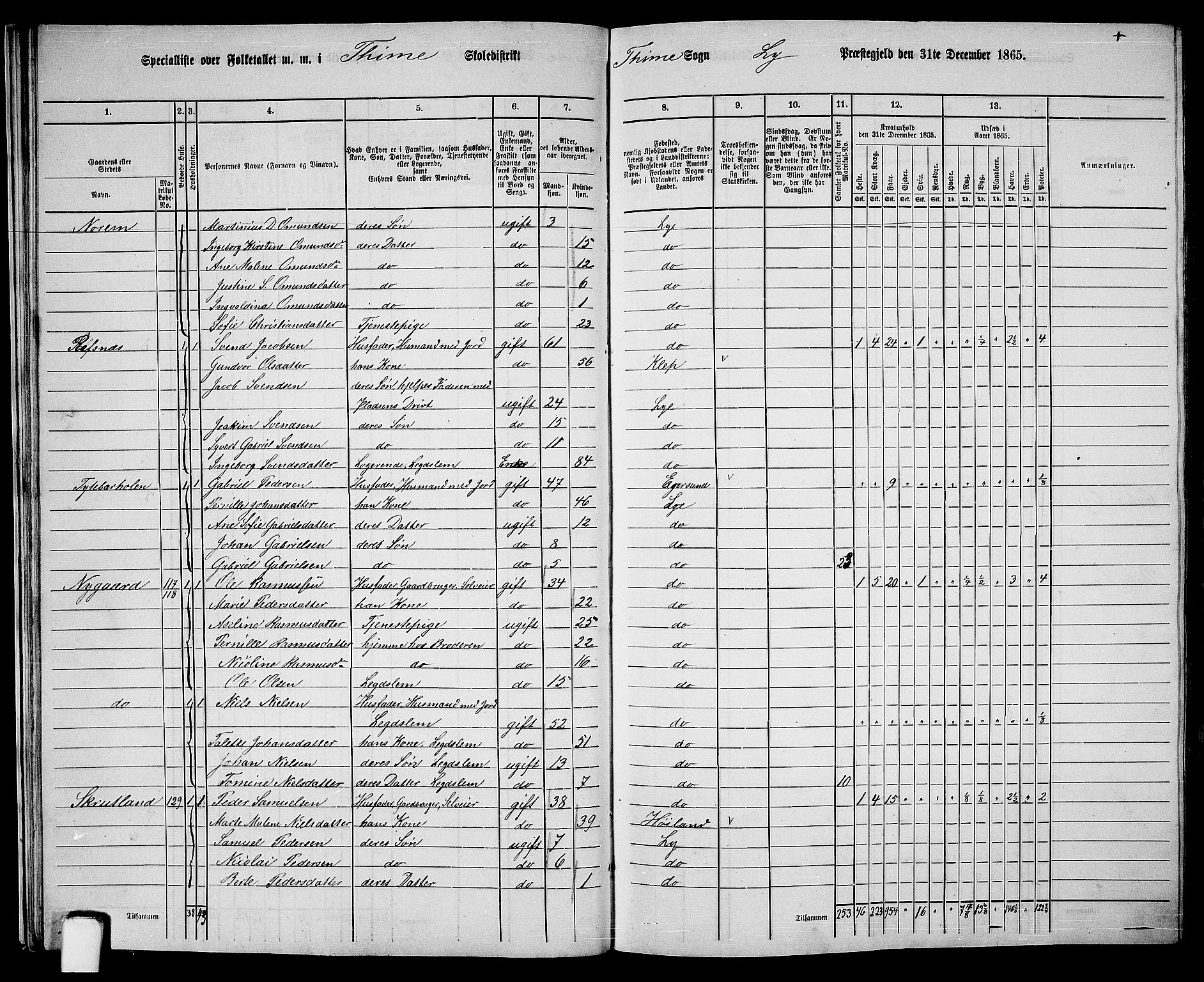 RA, 1865 census for Lye, 1865, p. 22