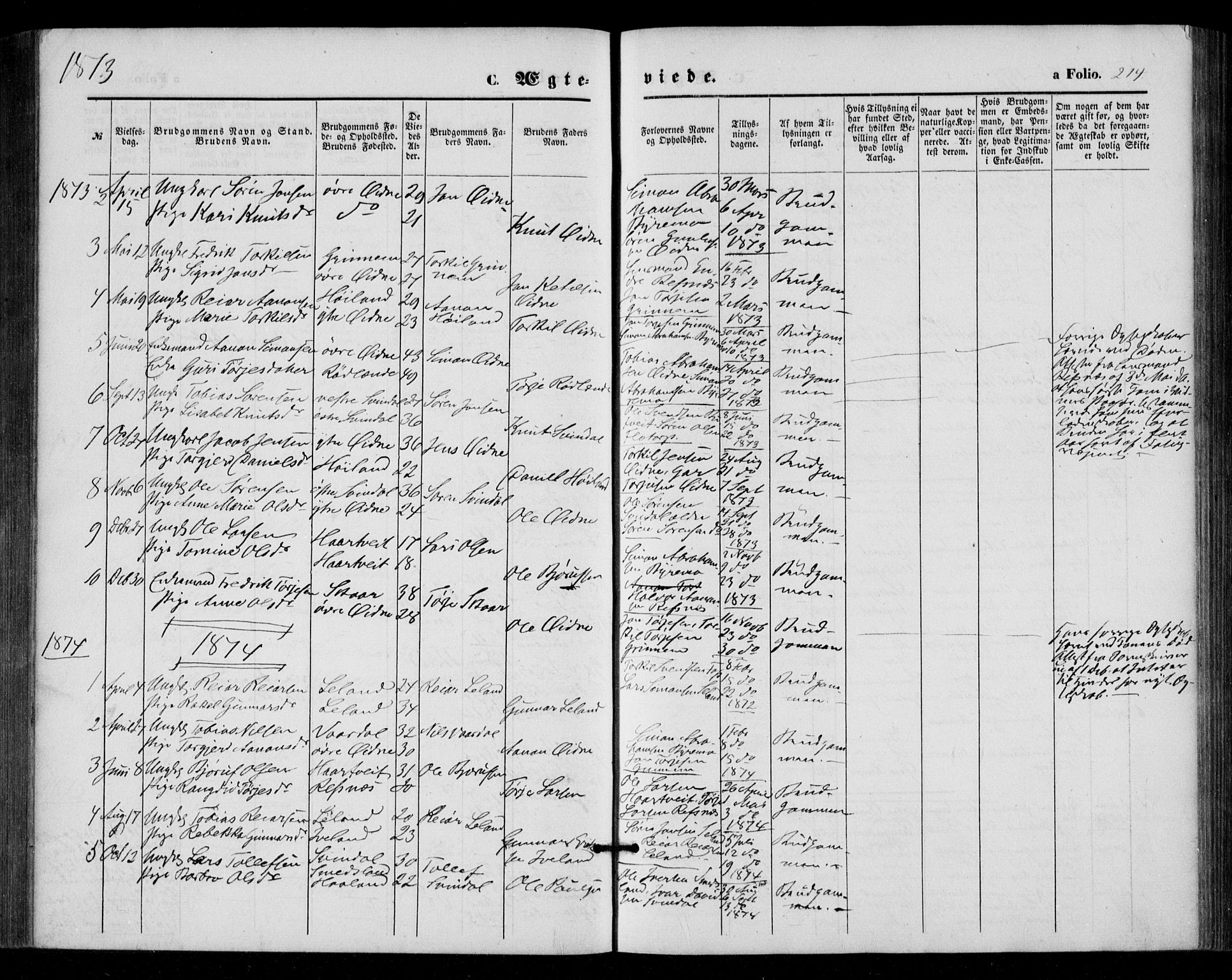 Bjelland sokneprestkontor, SAK/1111-0005/F/Fa/Fac/L0002: Parish register (official) no. A 2, 1866-1887, p. 214