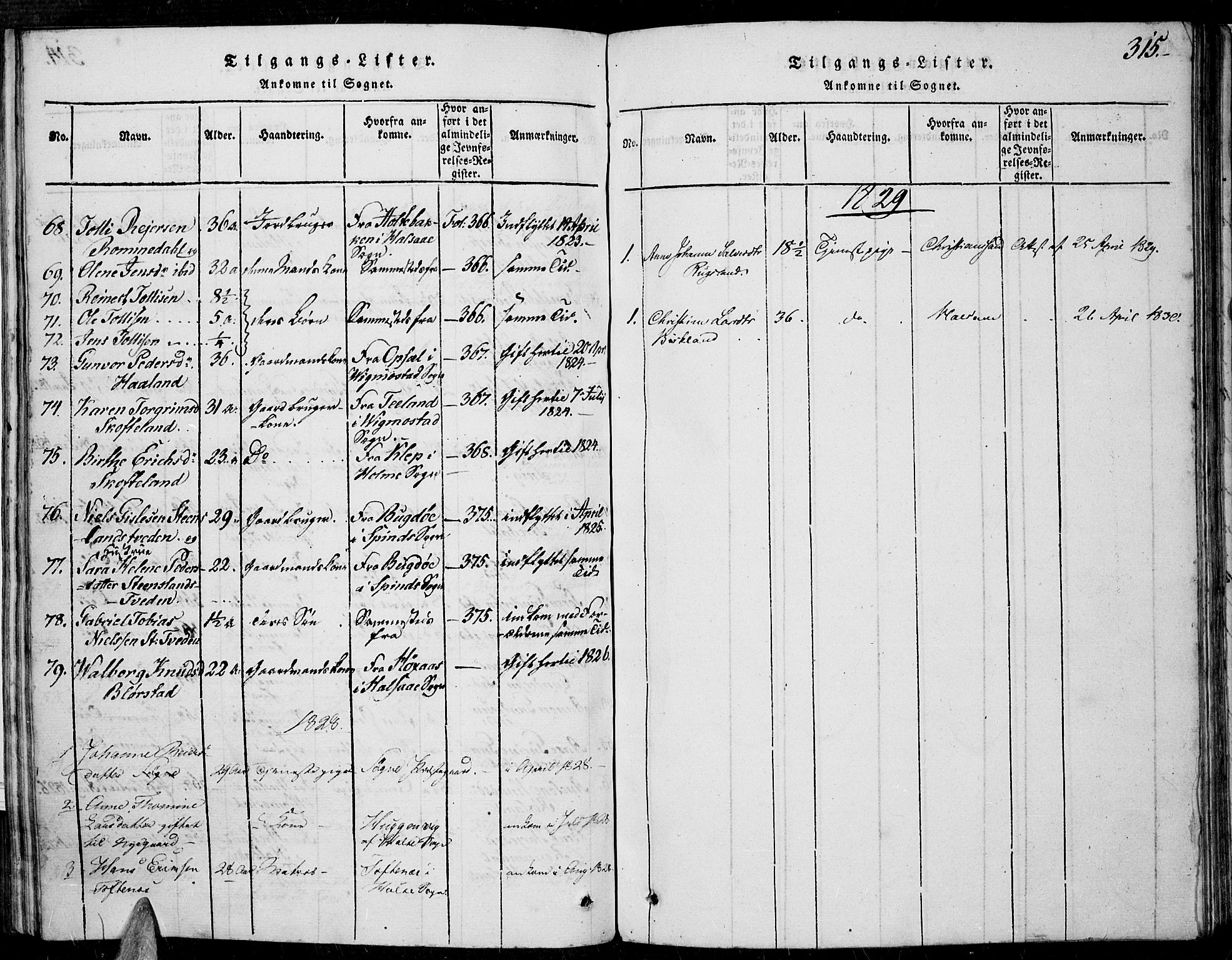 Sør-Audnedal sokneprestkontor, AV/SAK-1111-0039/F/Fa/Fab/L0005: Parish register (official) no. A 5, 1816-1830, p. 315