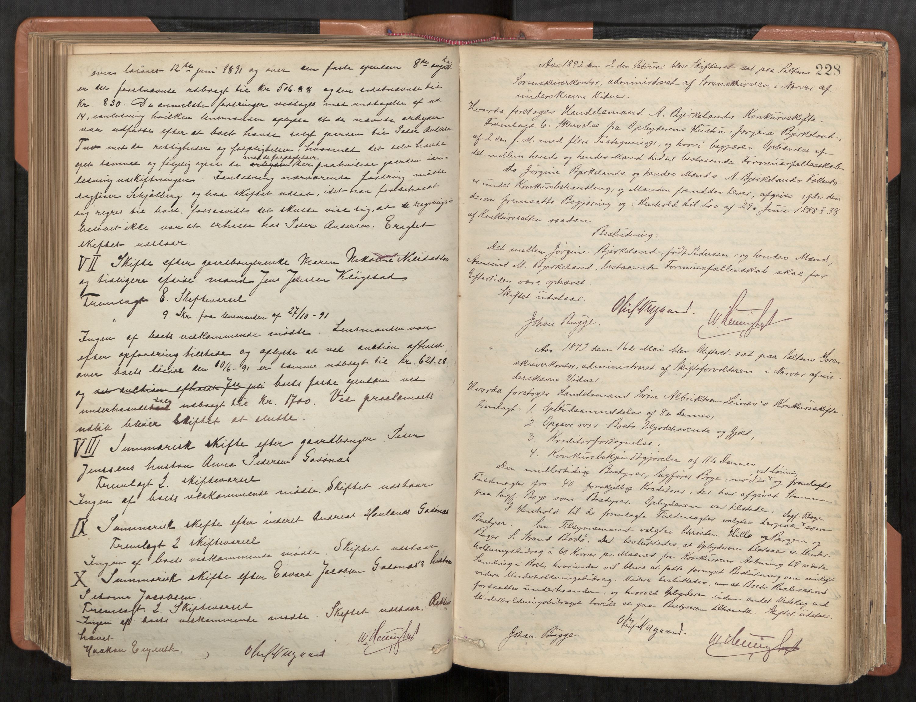 Steigen og Ofoten sorenskriveri, AV/SAT-A-0030/1/3/3B/L0001: Skiftebehandlingsprotokoll, 1879-1901, p. 228