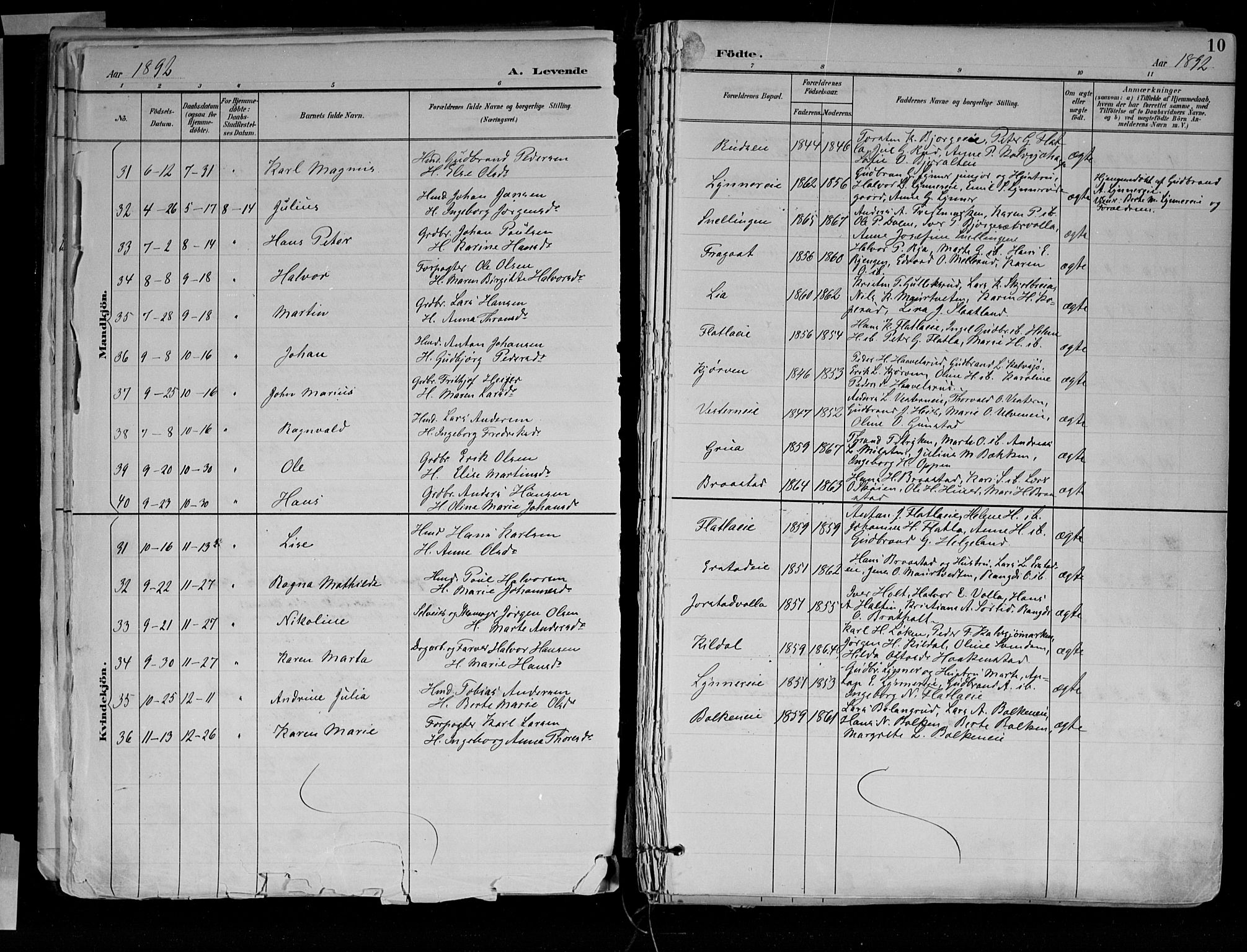 Jevnaker prestekontor, SAH/PREST-116/H/Ha/Haa/L0010: Parish register (official) no. 10, 1891-1906, p. 10