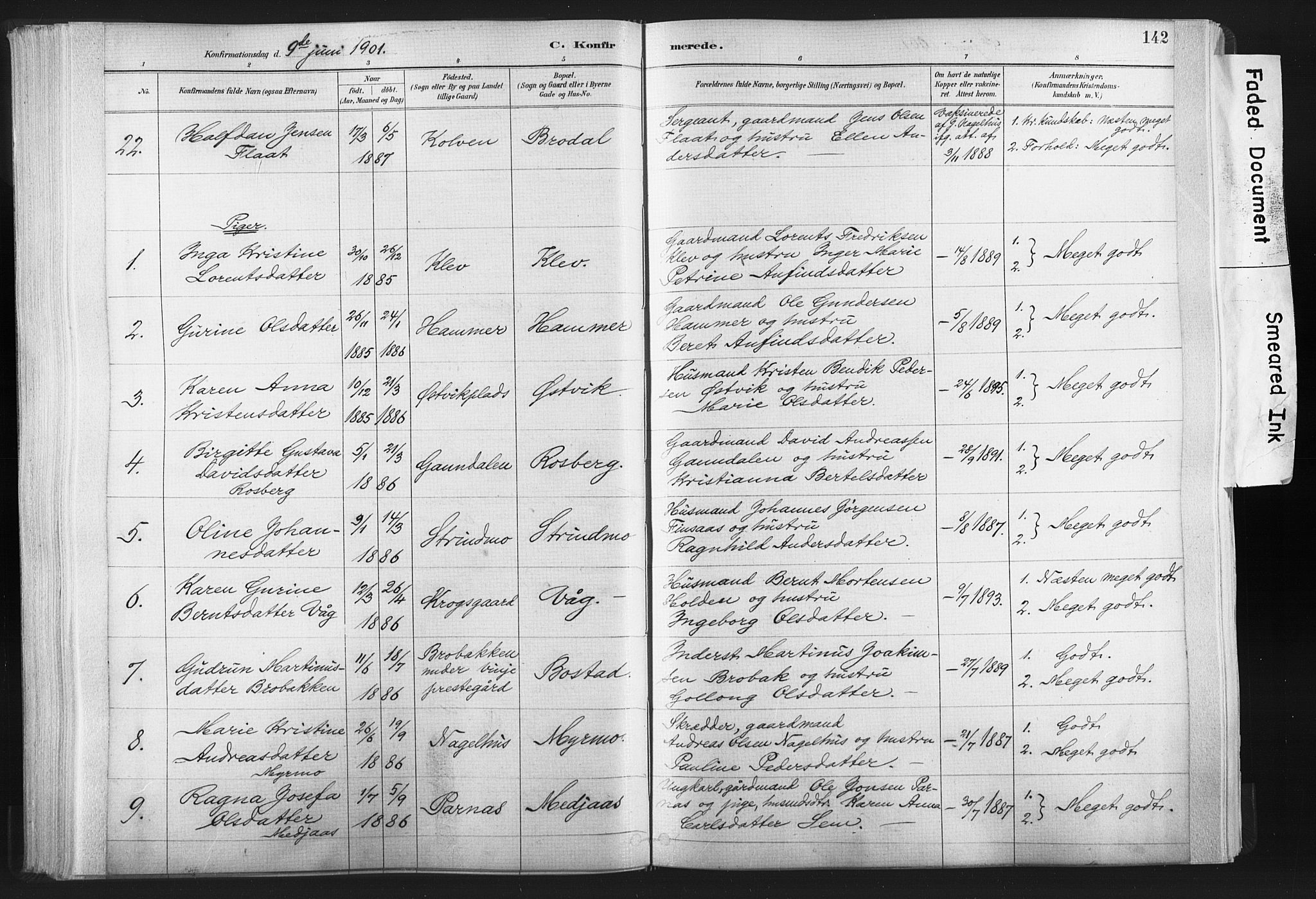 Ministerialprotokoller, klokkerbøker og fødselsregistre - Nord-Trøndelag, AV/SAT-A-1458/749/L0474: Parish register (official) no. 749A08, 1887-1903, p. 142