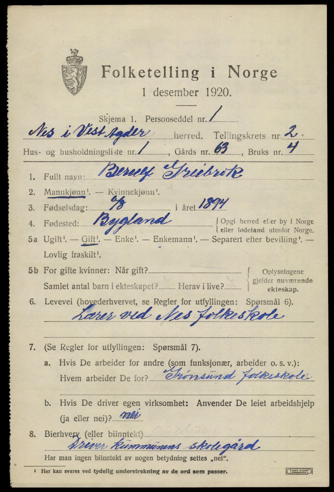 SAK, 1920 census for Nes (V-A), 1920, p. 1384