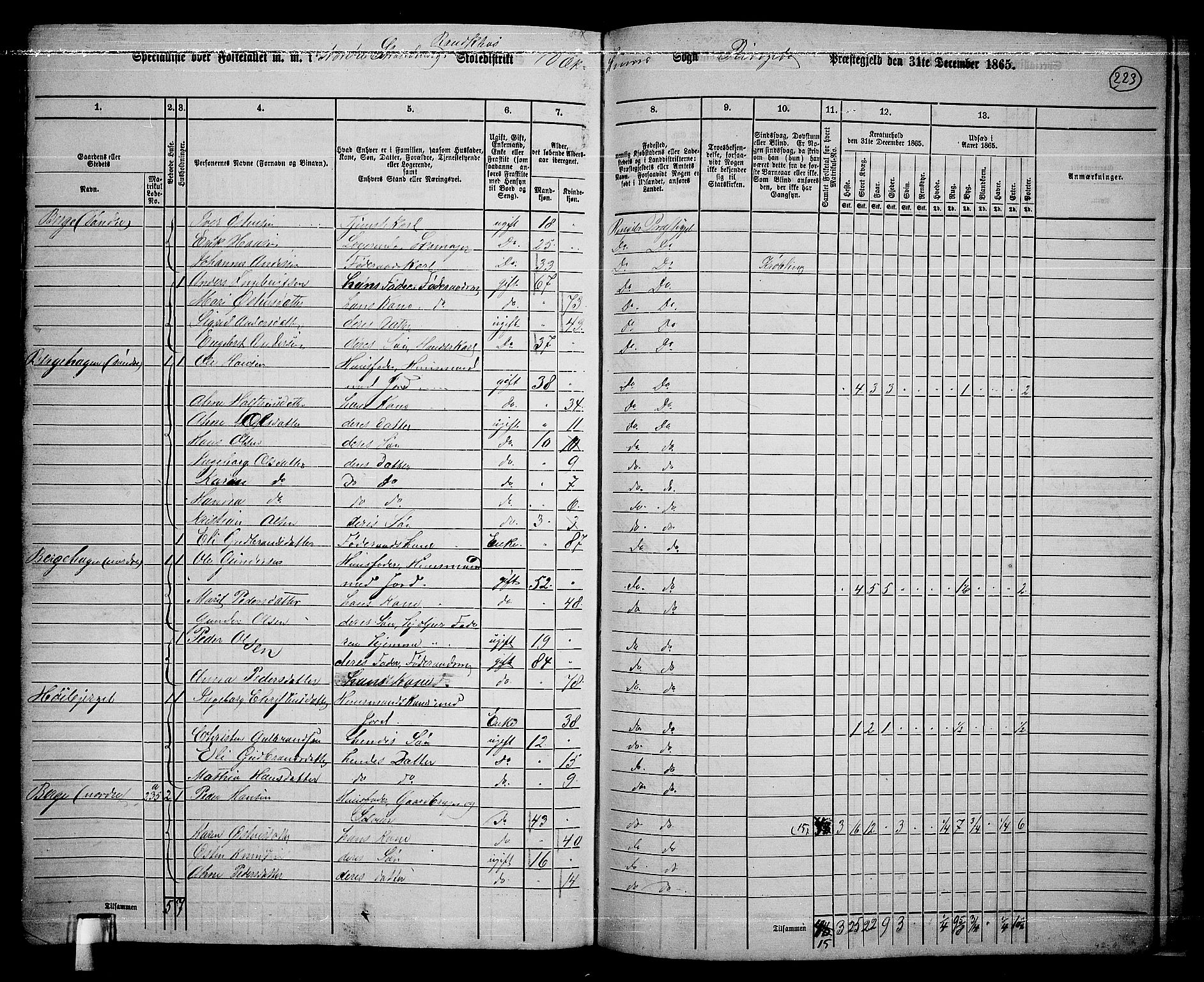 RA, 1865 census for Ringebu, 1865, p. 194