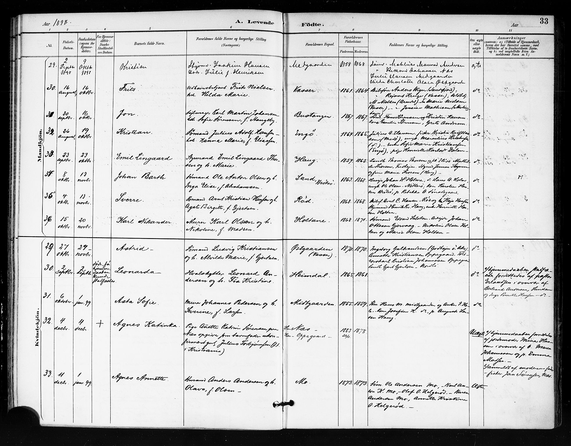 Tjøme kirkebøker, SAKO/A-328/F/Fa/L0003: Parish register (official) no. 3, 1891-1900, p. 33