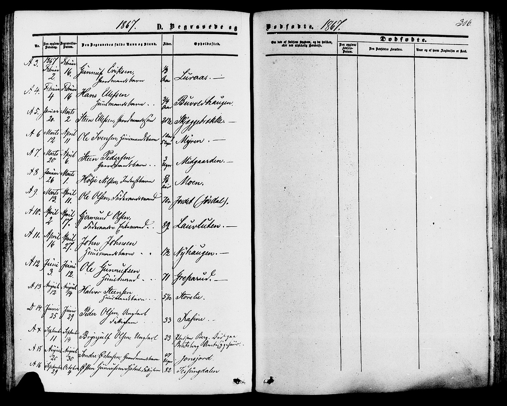 Tinn kirkebøker, SAKO/A-308/F/Fa/L0006: Parish register (official) no. I 6, 1857-1878, p. 306