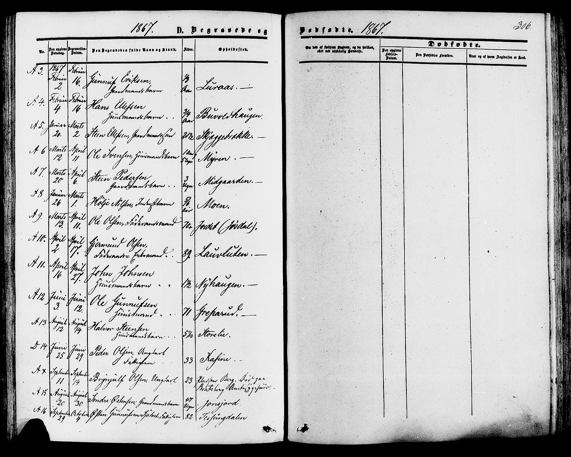 Tinn kirkebøker, AV/SAKO-A-308/F/Fa/L0006: Parish register (official) no. I 6, 1857-1878, p. 306