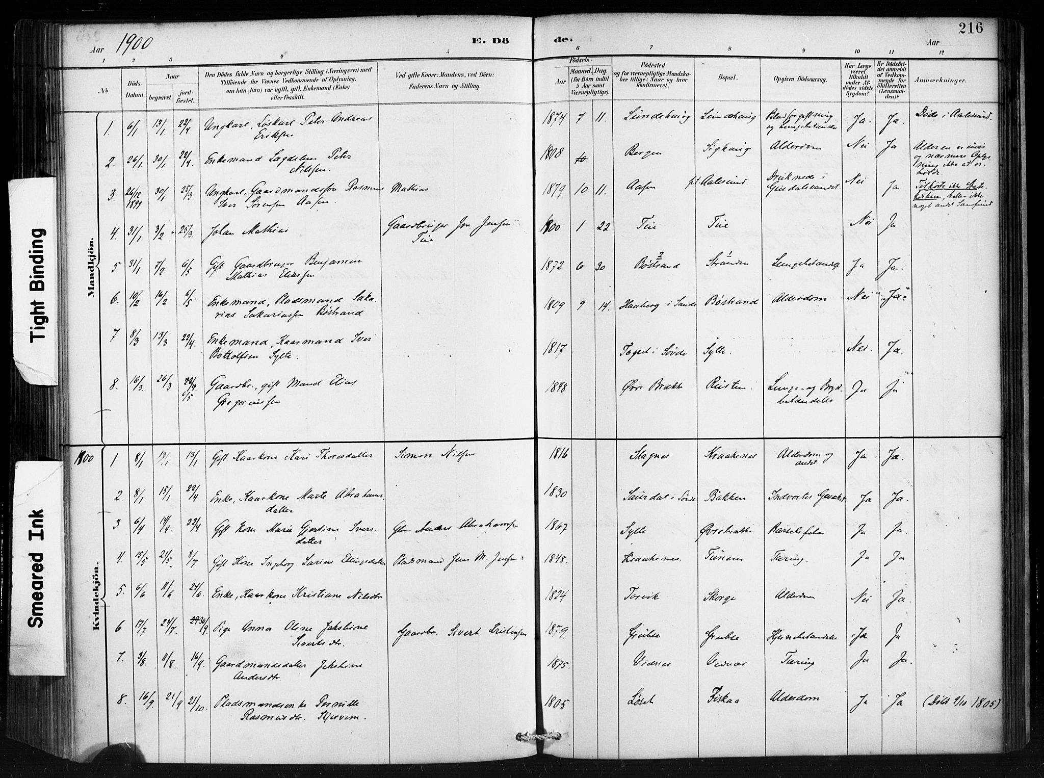 Ministerialprotokoller, klokkerbøker og fødselsregistre - Møre og Romsdal, AV/SAT-A-1454/501/L0008: Parish register (official) no. 501A08, 1885-1901, p. 216