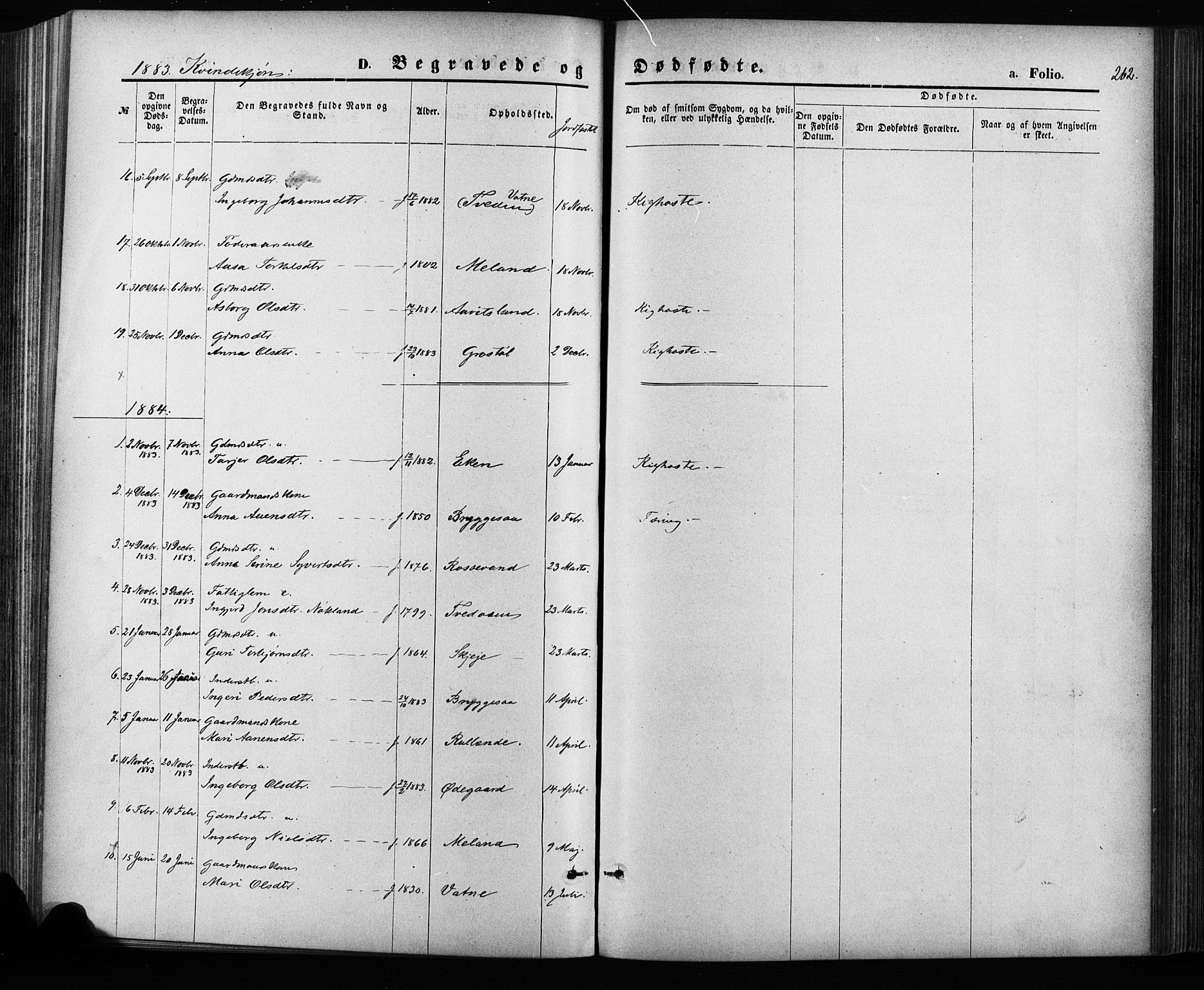 Hægebostad sokneprestkontor, SAK/1111-0024/F/Fa/Fab/L0003: Parish register (official) no. A 3, 1872-1886, p. 262