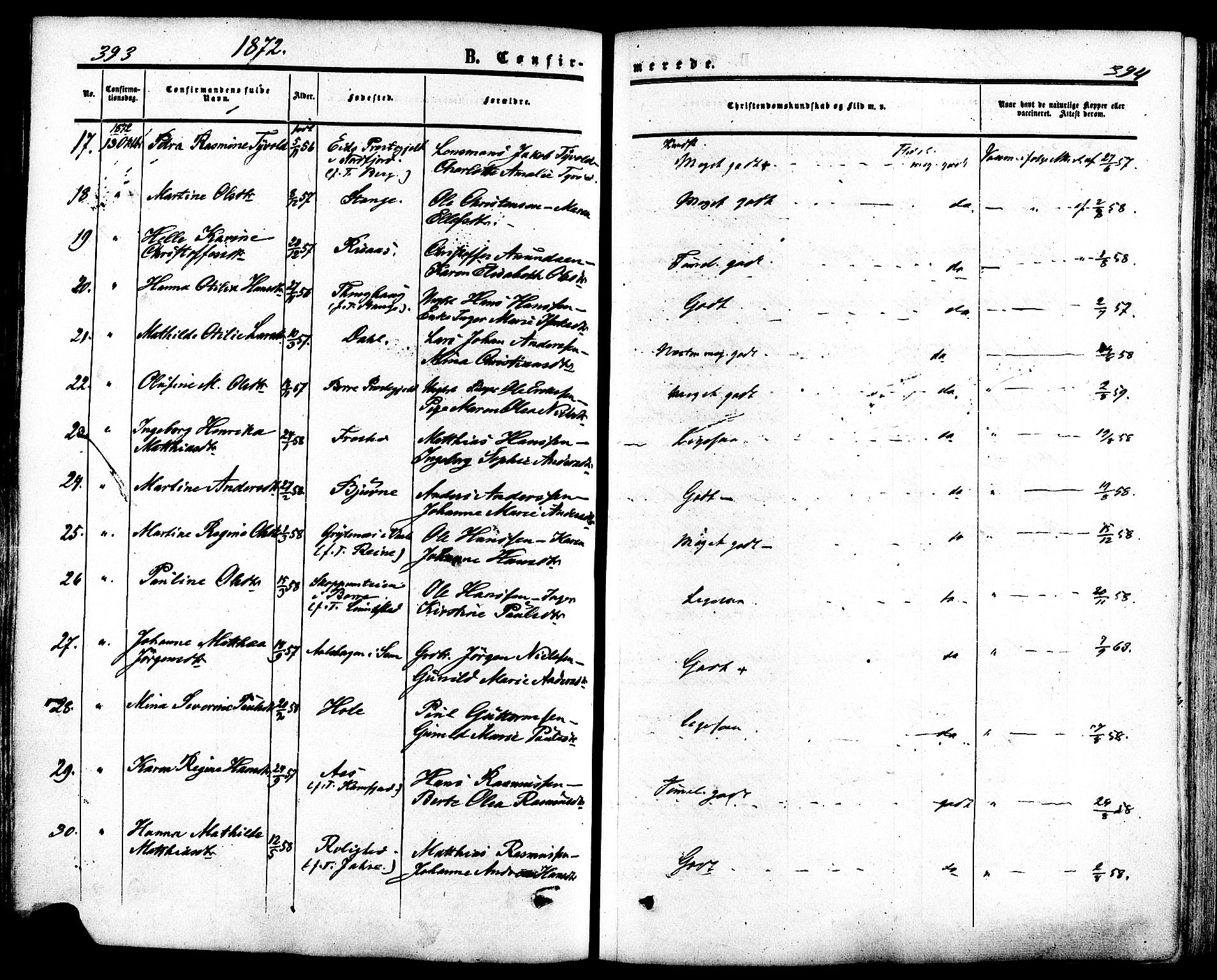 Ramnes kirkebøker, SAKO/A-314/F/Fa/L0006: Parish register (official) no. I 6, 1862-1877, p. 393-394