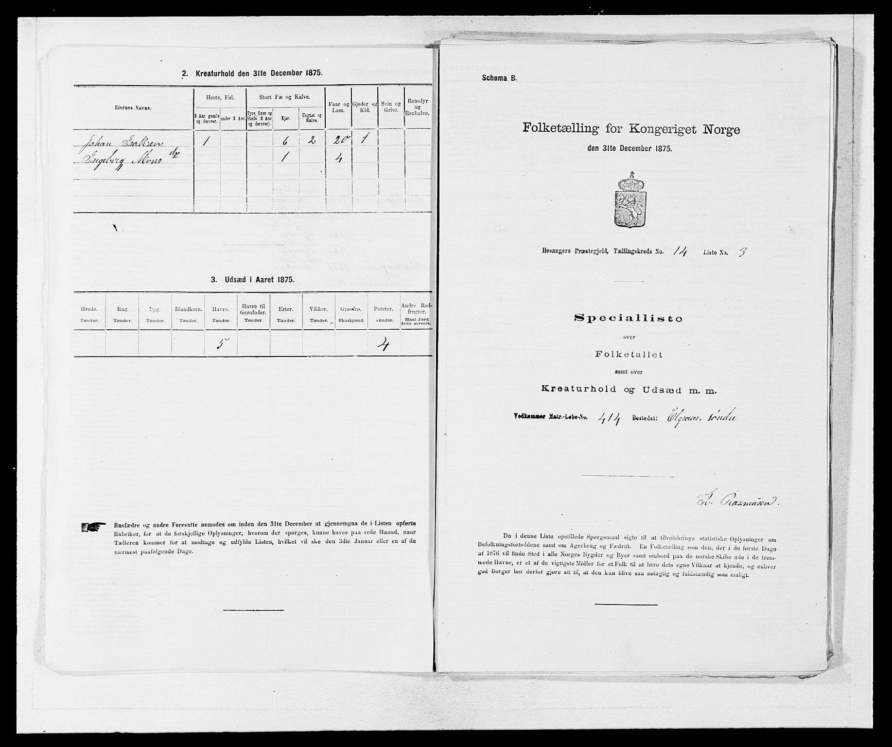 SAB, 1875 census for 1253P Hosanger, 1875, p. 1062