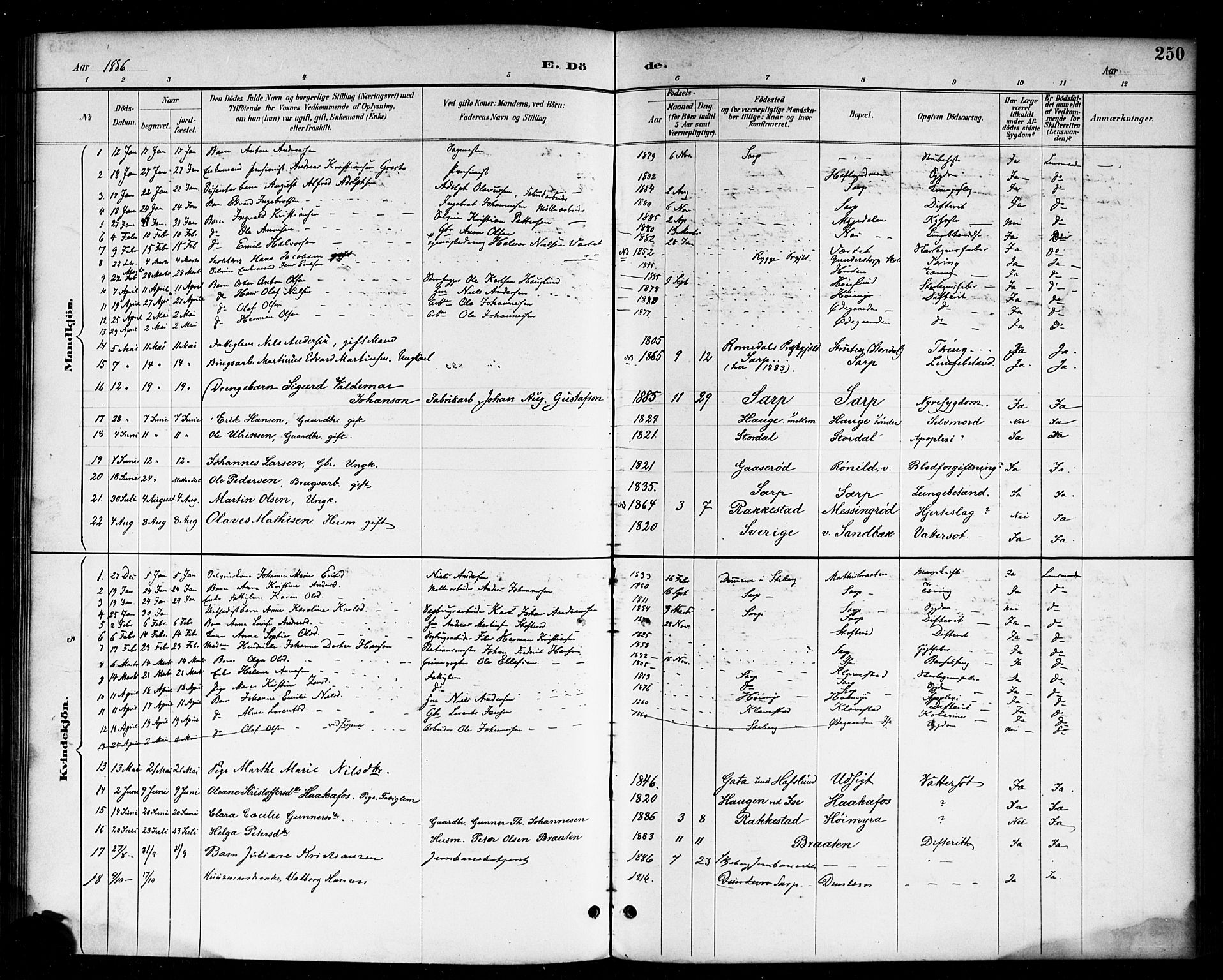 Skjeberg prestekontor Kirkebøker, AV/SAO-A-10923/F/Fa/L0009: Parish register (official) no. I 9, 1886-1897, p. 250