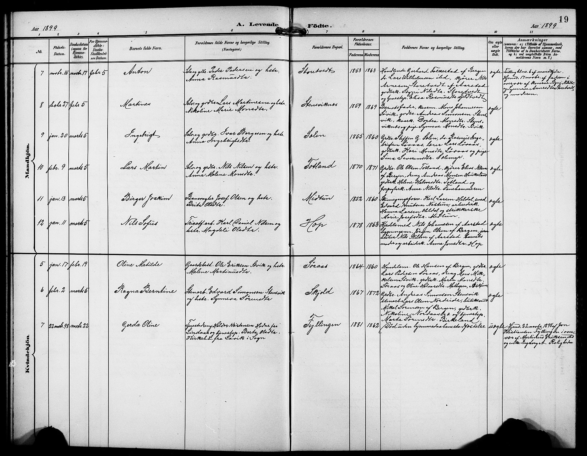 Birkeland Sokneprestembete, AV/SAB-A-74601/H/Hab: Parish register (copy) no. A 5, 1897-1905, p. 19