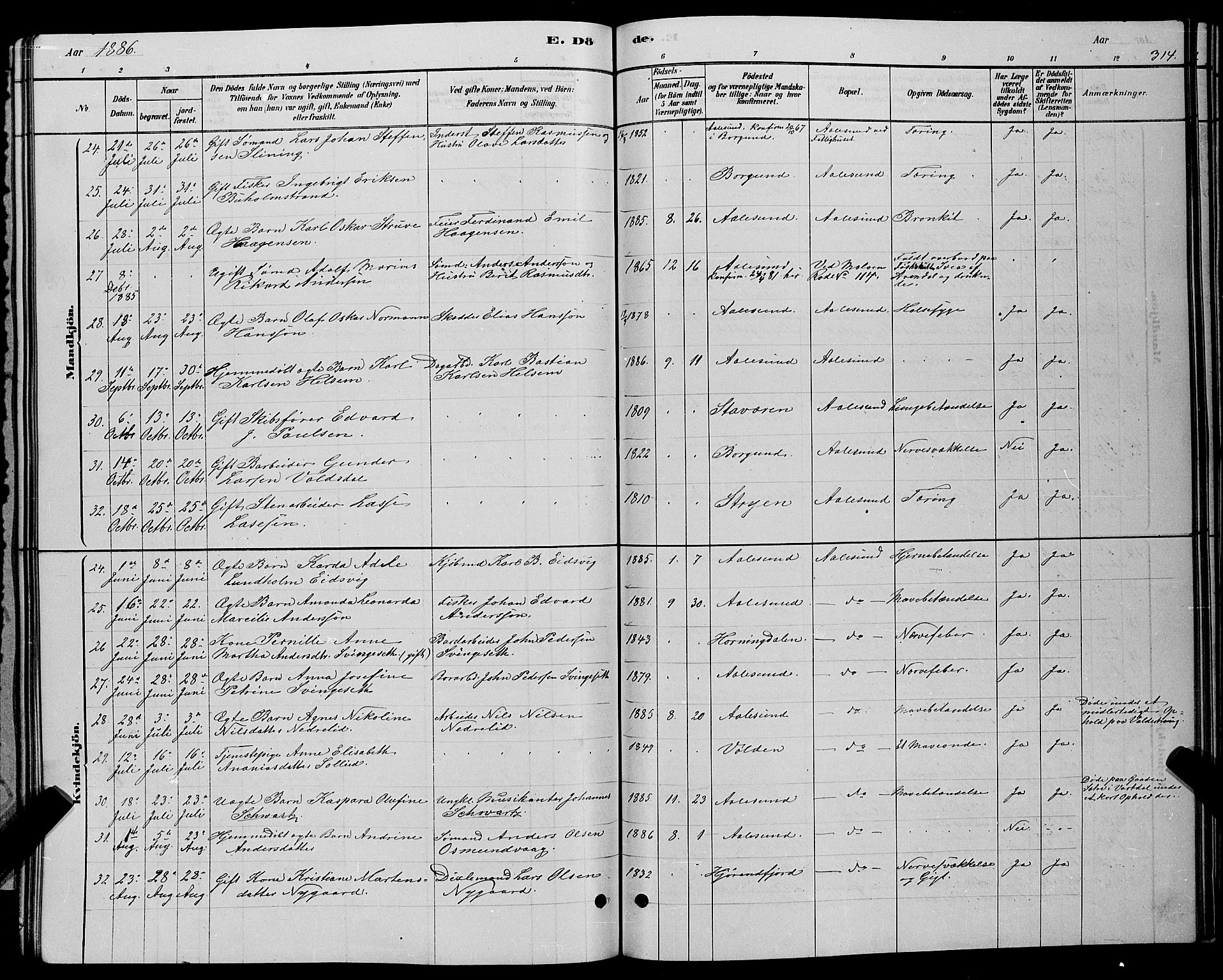 Ministerialprotokoller, klokkerbøker og fødselsregistre - Møre og Romsdal, AV/SAT-A-1454/529/L0466: Parish register (copy) no. 529C03, 1878-1888, p. 314