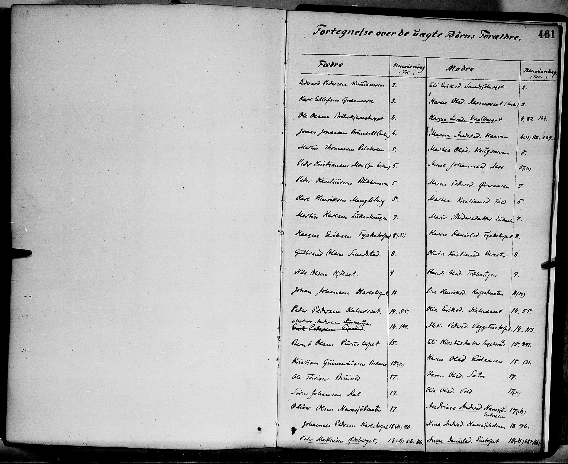 Grue prestekontor, SAH/PREST-036/H/Ha/Haa/L0011: Parish register (official) no. 11, 1873-1880, p. 461