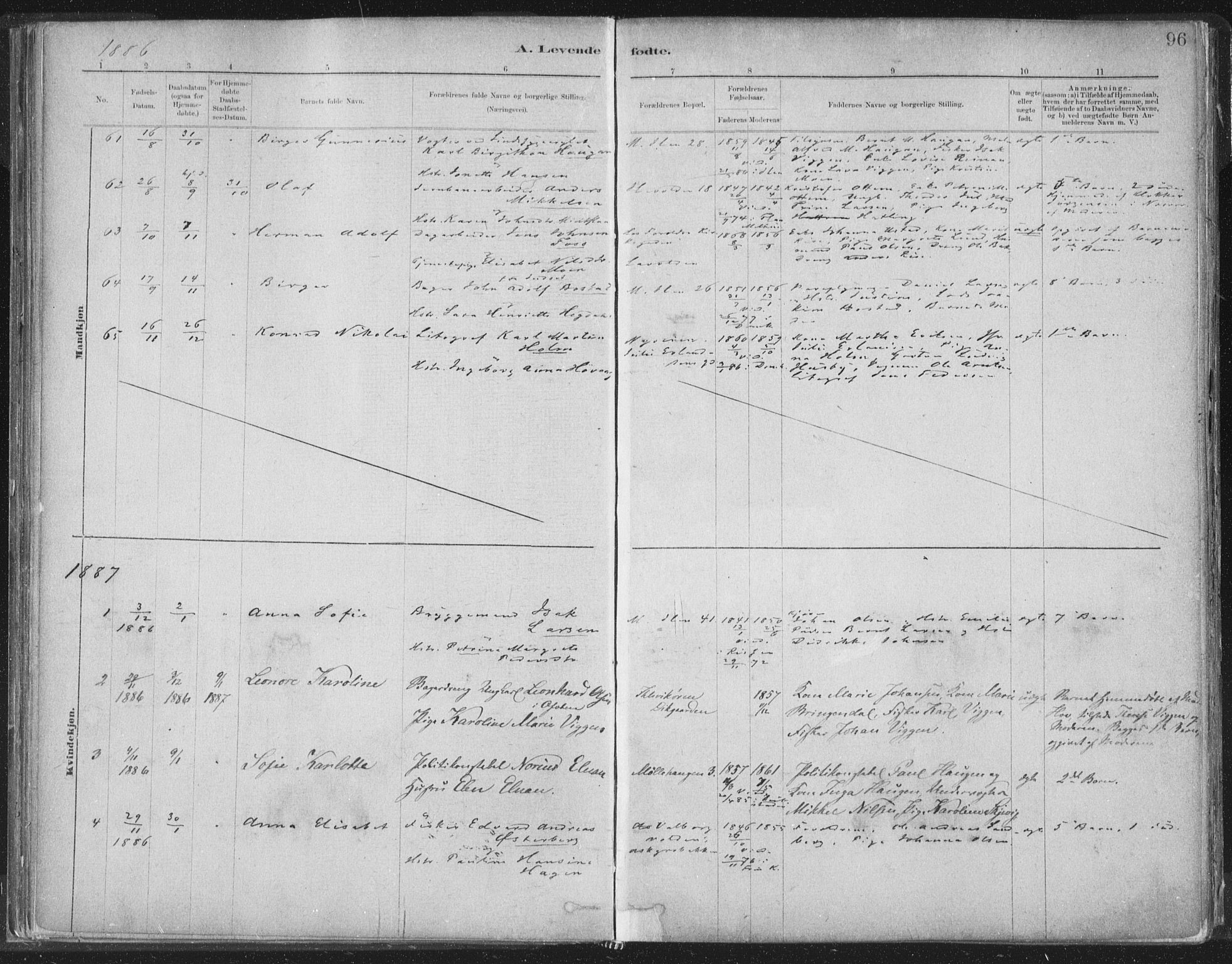 Ministerialprotokoller, klokkerbøker og fødselsregistre - Sør-Trøndelag, SAT/A-1456/603/L0162: Parish register (official) no. 603A01, 1879-1895, p. 96