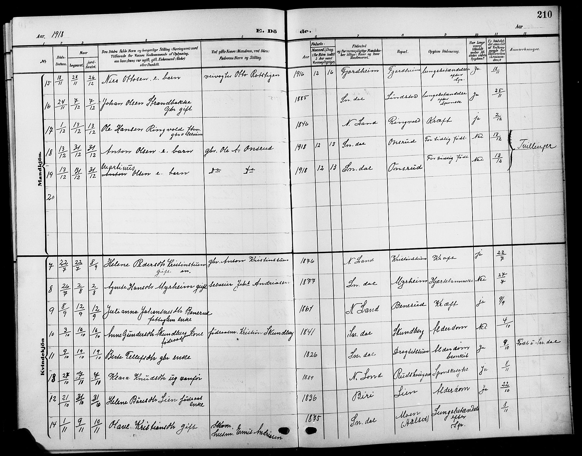 Biri prestekontor, SAH/PREST-096/H/Ha/Hab/L0005: Parish register (copy) no. 5, 1906-1919, p. 210