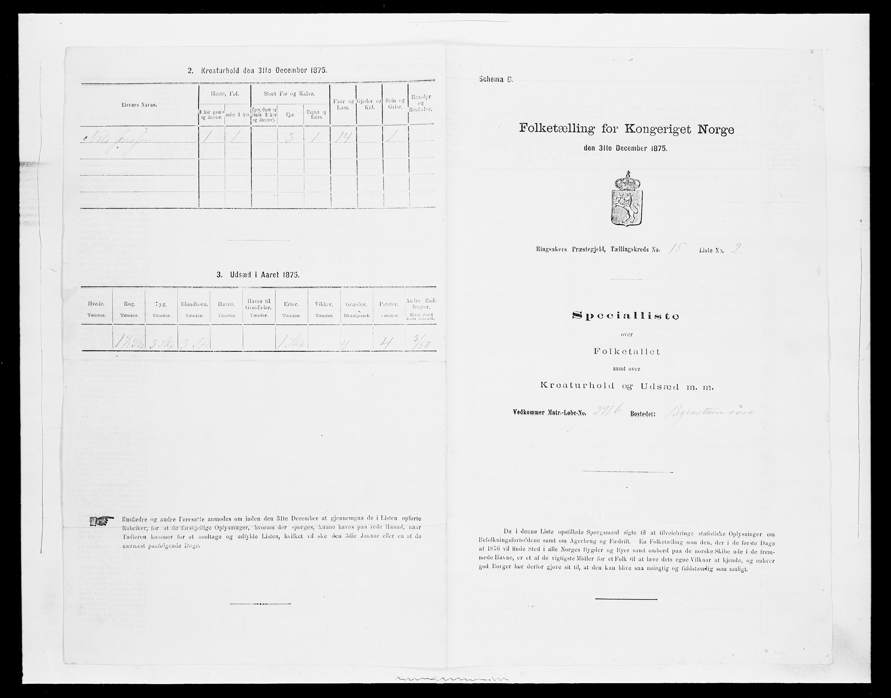 SAH, 1875 census for 0412P Ringsaker, 1875, p. 3034