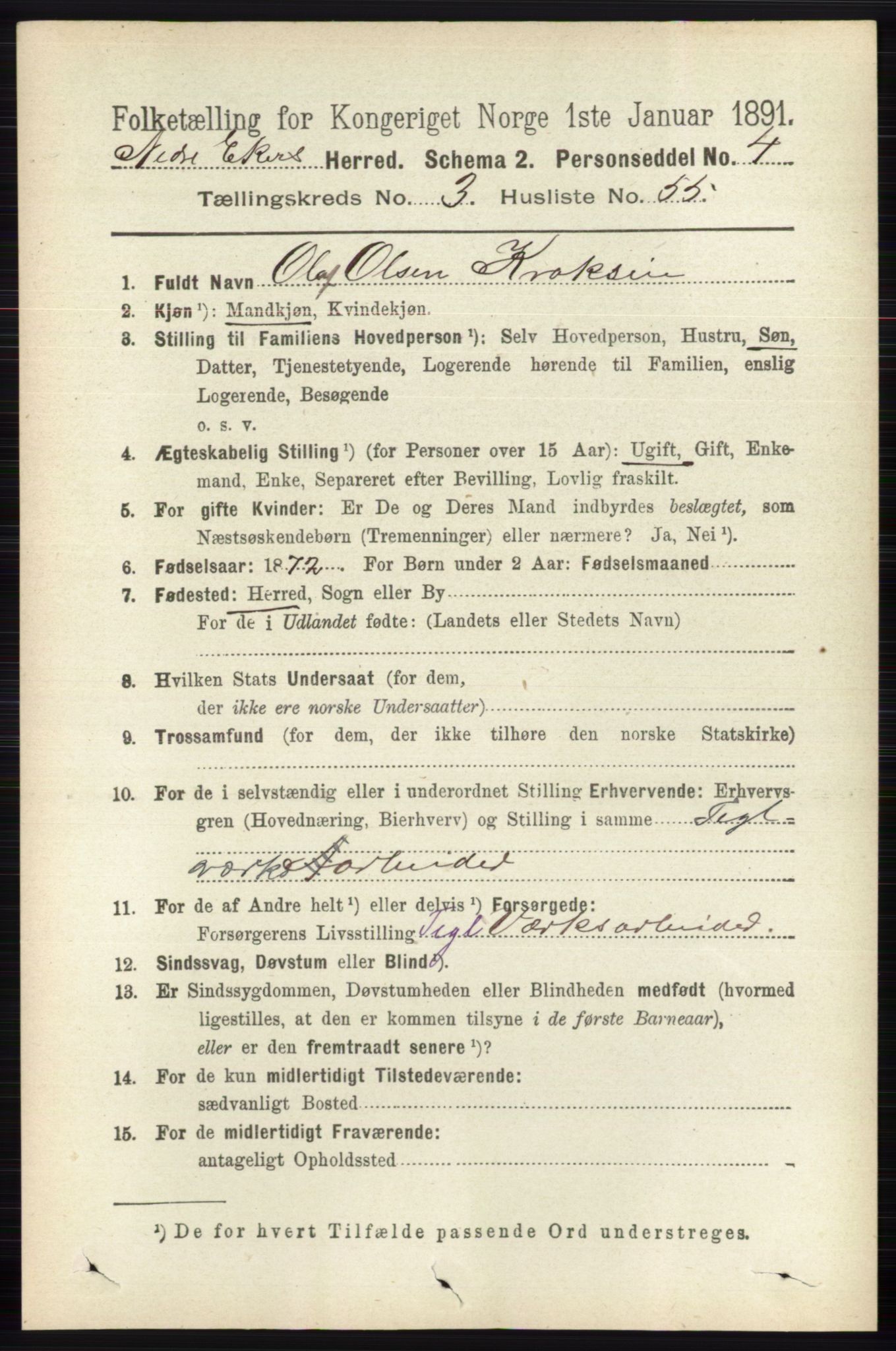 RA, 1891 census for 0625 Nedre Eiker, 1891, p. 1483