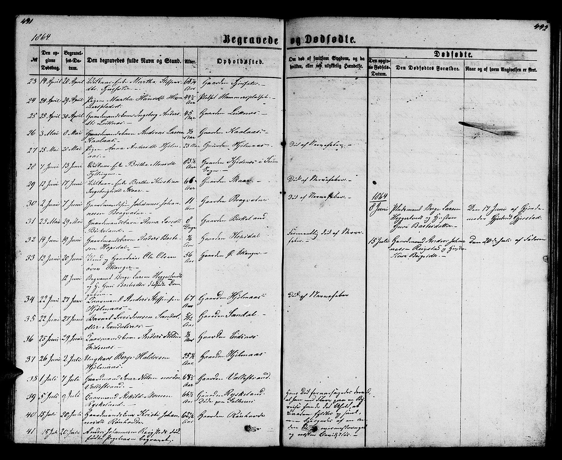 Hamre sokneprestembete, SAB/A-75501/H/Ha/Hab: Parish register (copy) no. B 2, 1863-1880, p. 491-492