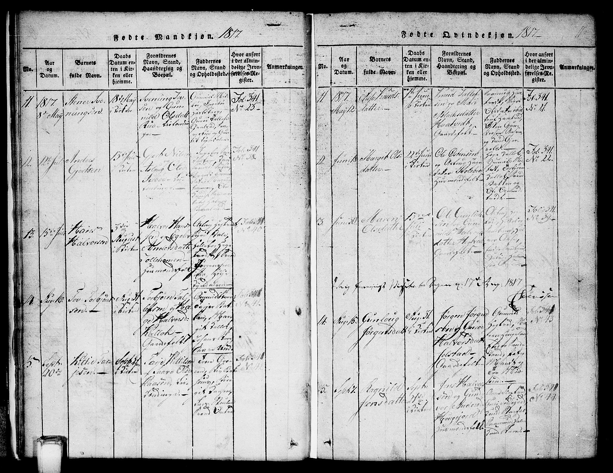 Kviteseid kirkebøker, SAKO/A-276/G/Gb/L0001: Parish register (copy) no. II 1, 1815-1842, p. 11